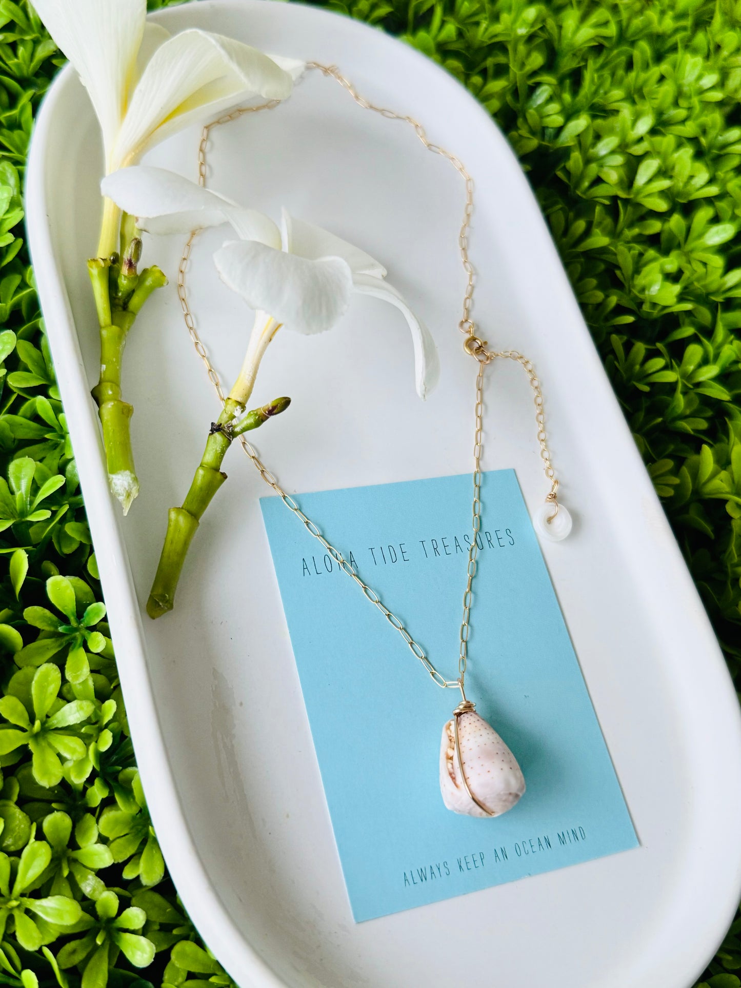 14K GF Abbreviated Cone Shell Necklace 16”
