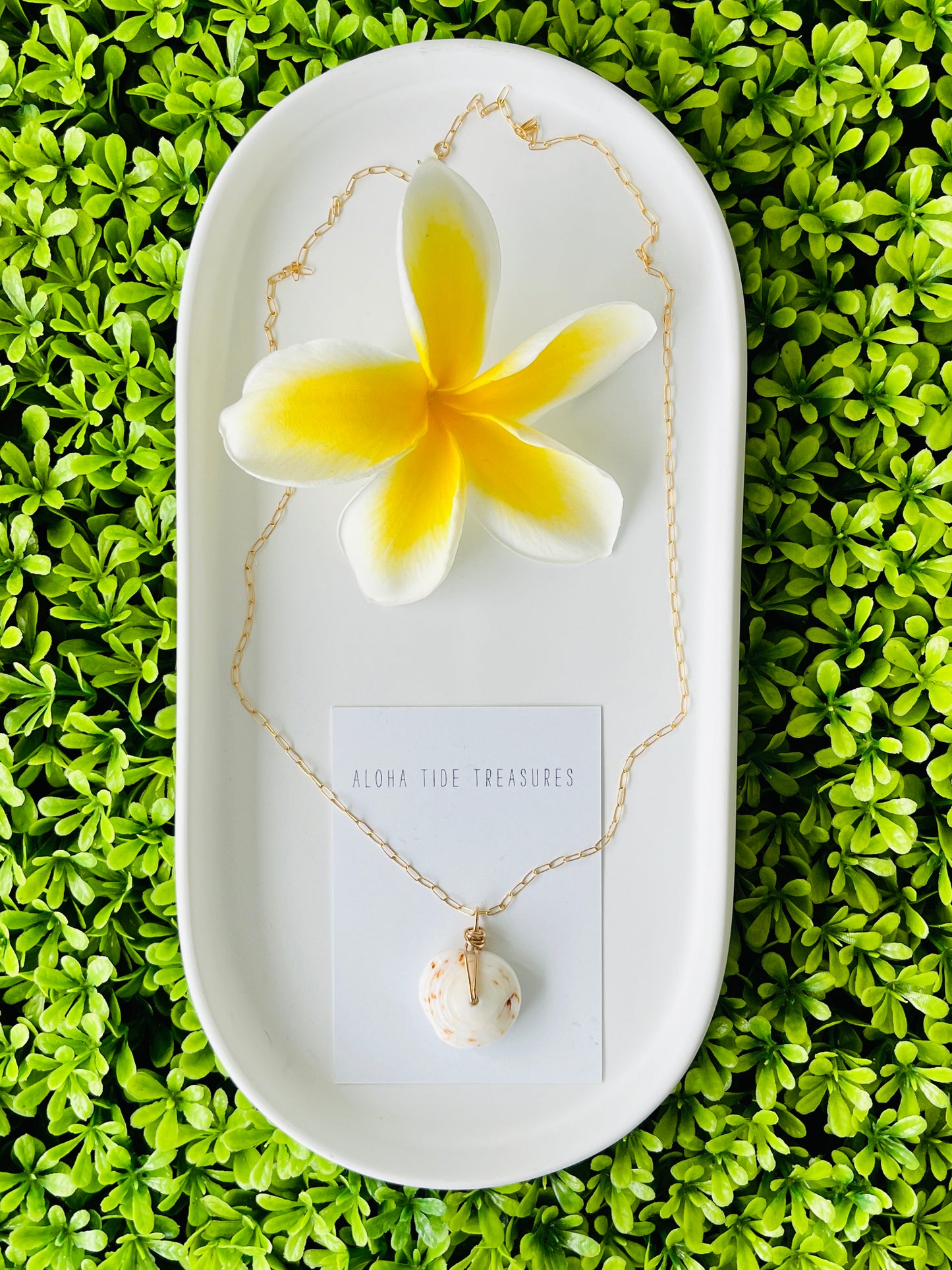 14K GF Puka Shell Necklace 20”