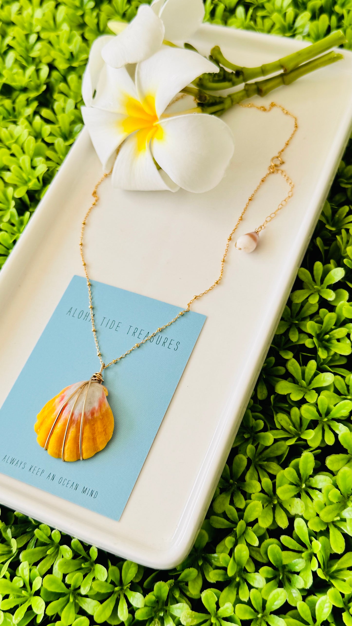 14K GF Sunrise Shell Necklace 16” - Lyana