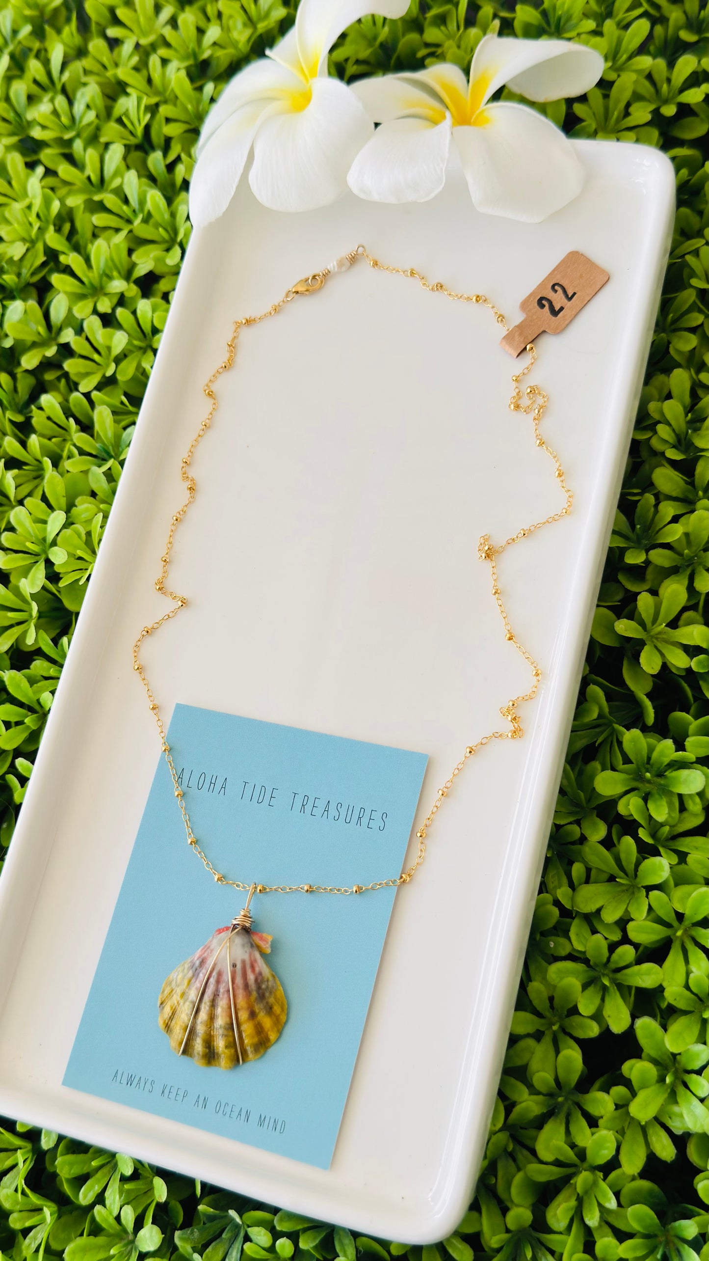 14K GF Sunrise Shell Necklace 22”