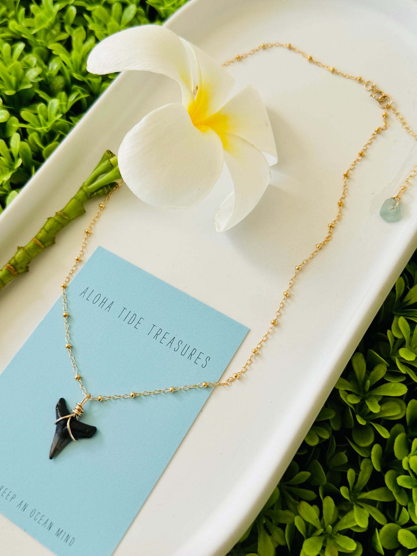 14K GF Shark Tooth Necklace 16”