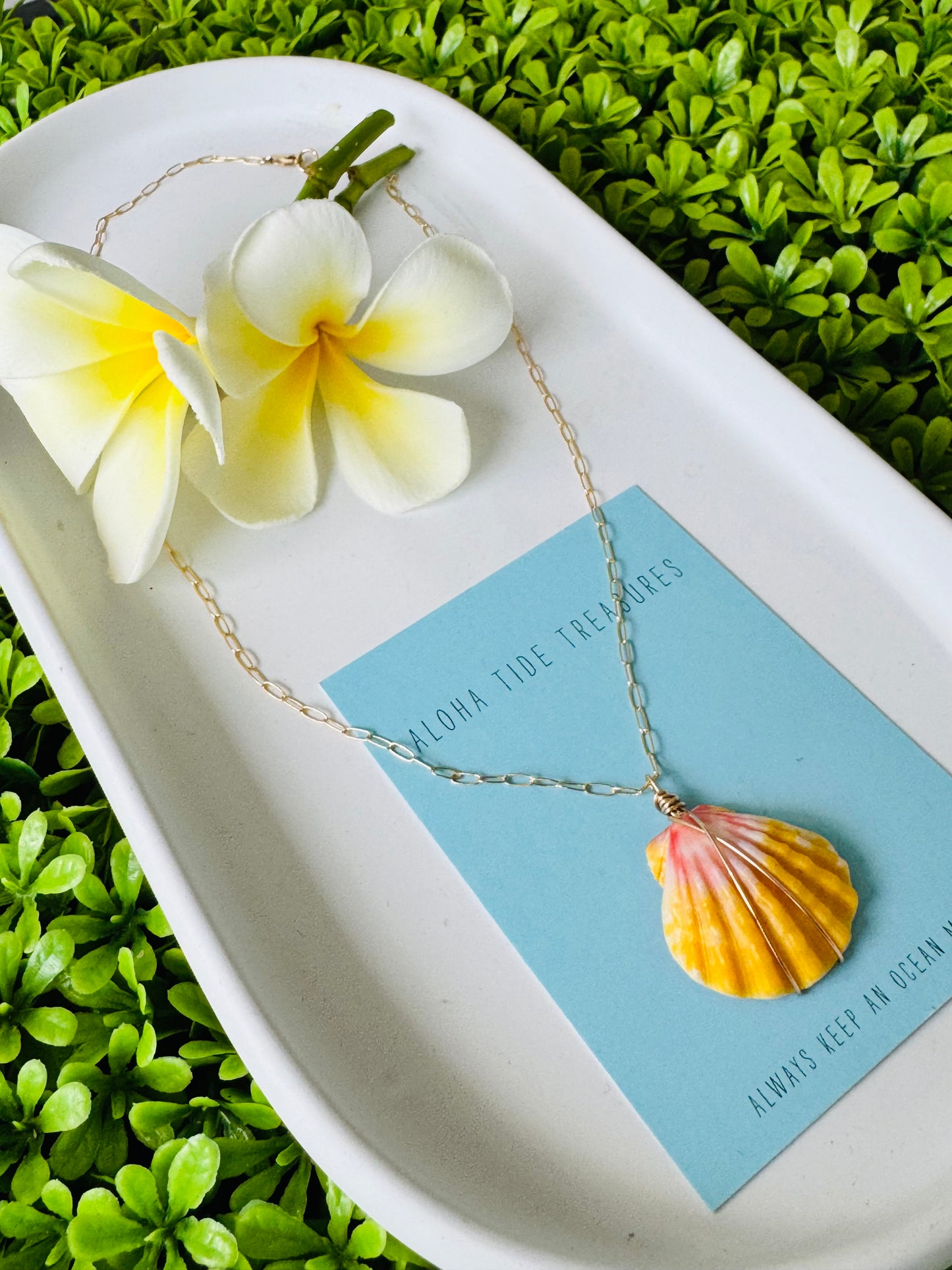 14K GF Sunrise Shell Necklace 16” - Carrie