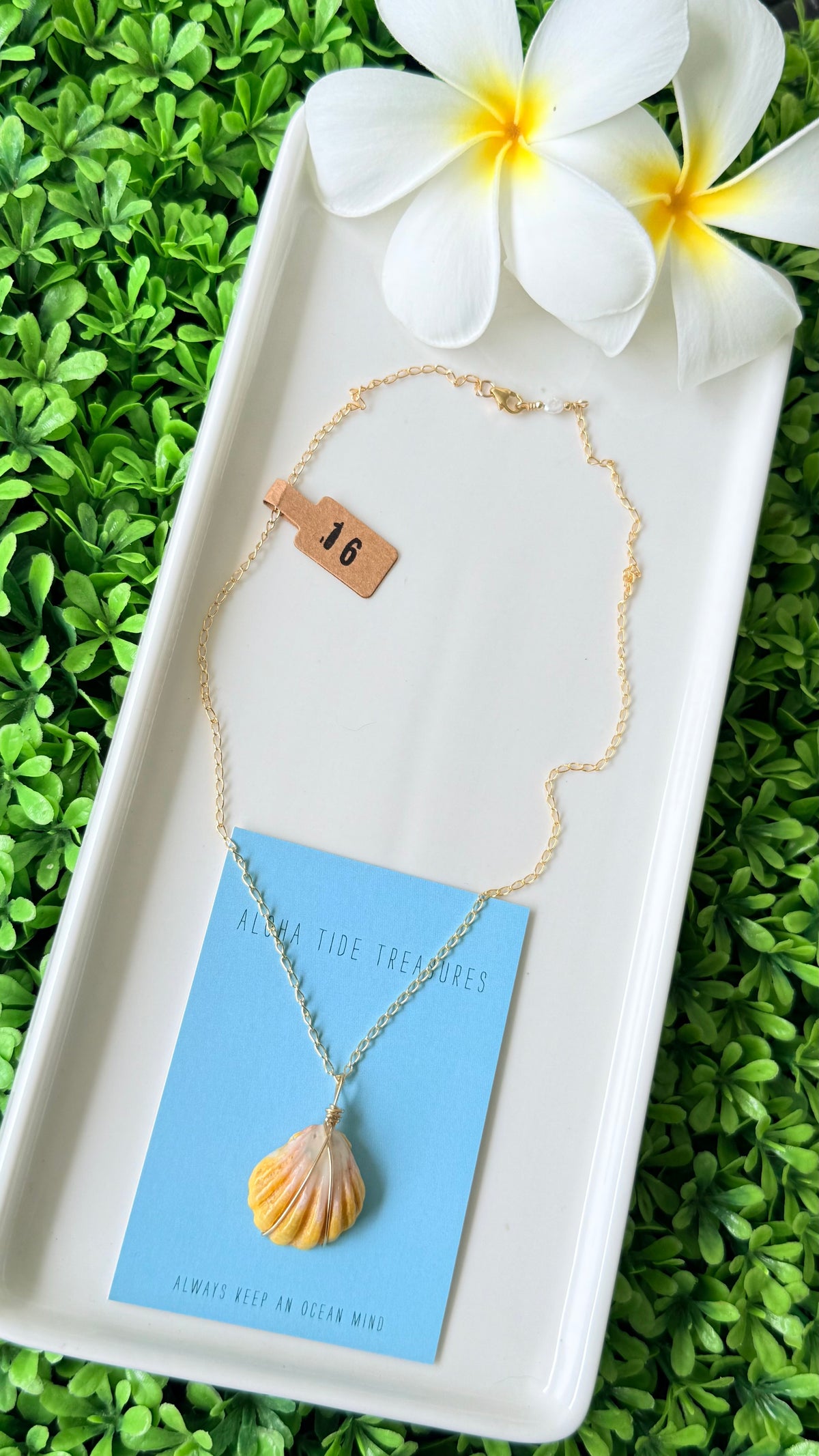 14K GF Sunrise Shell Necklace 16”