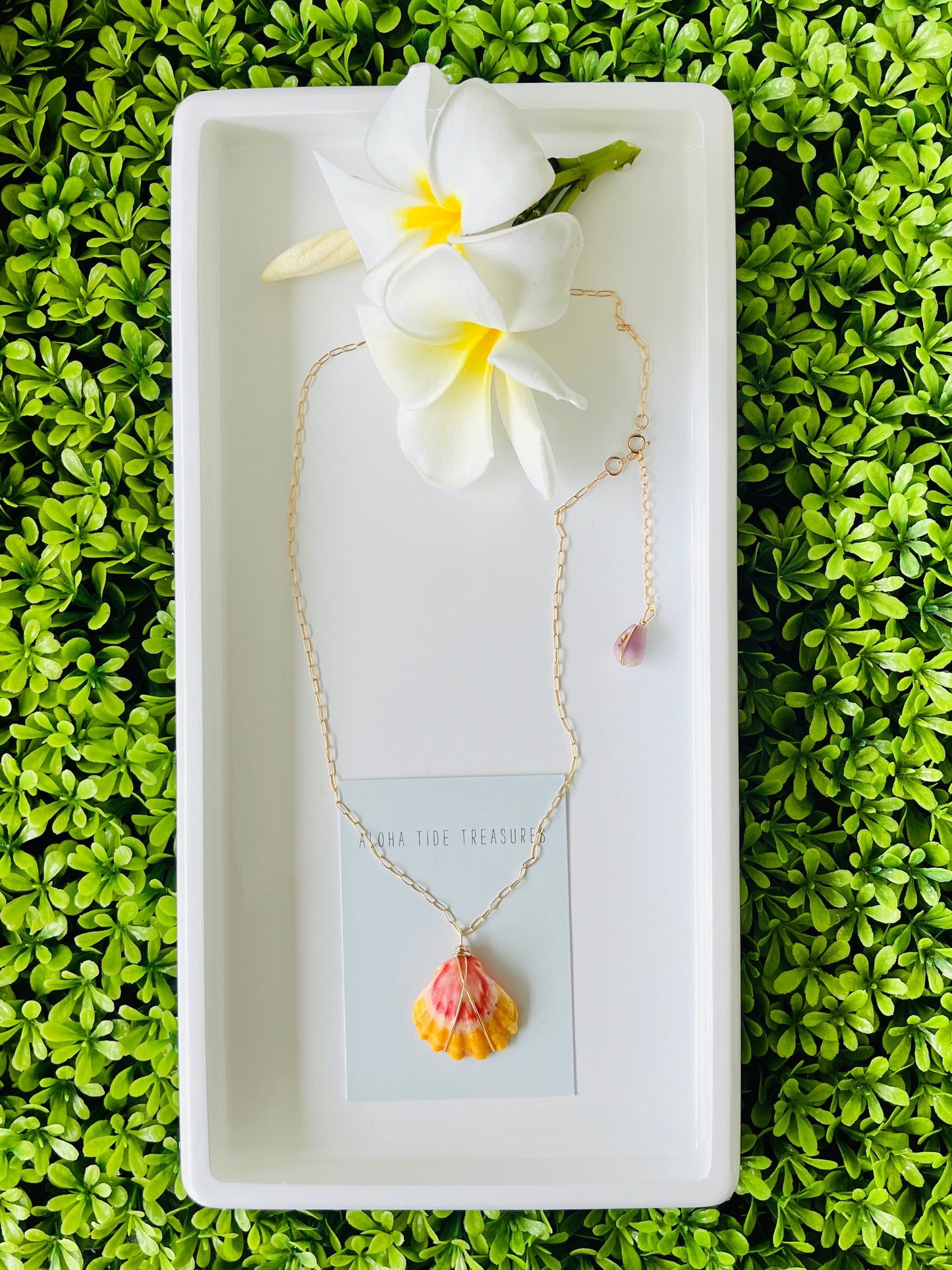 14K GF Sunrise Shell Necklace 18” - Kara