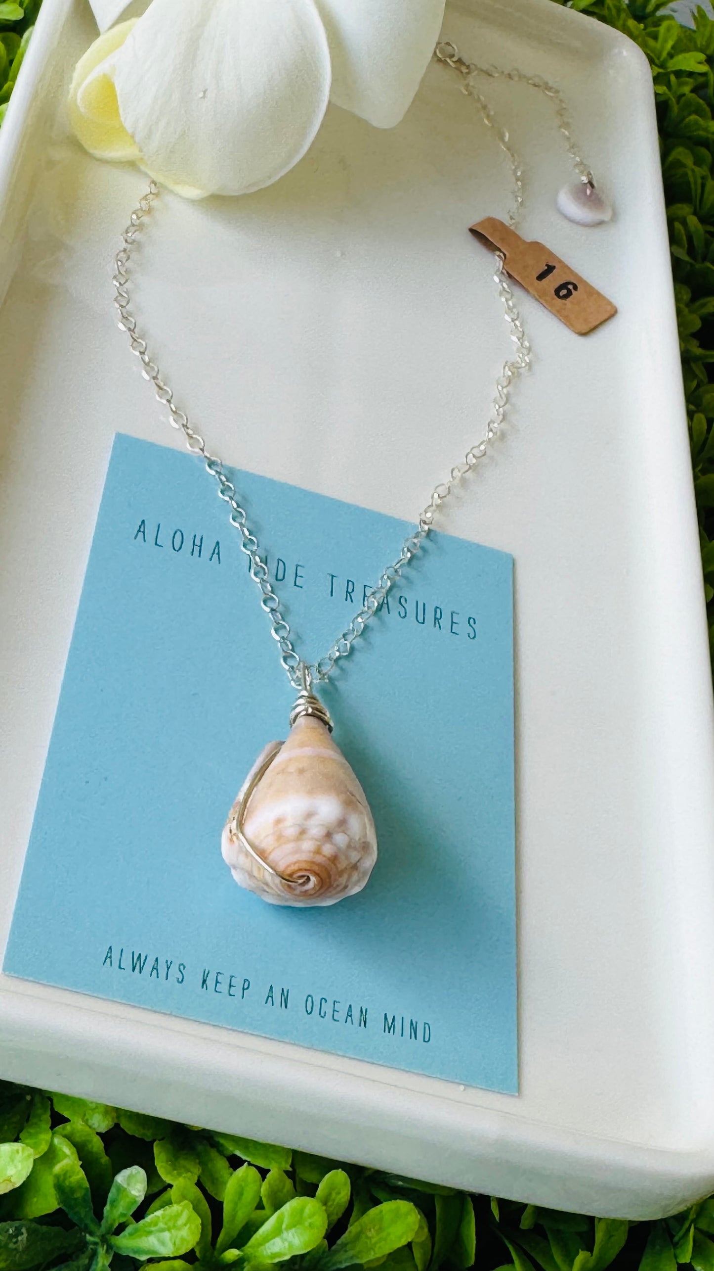 Sterling Silver Cone Shell Necklace 16”