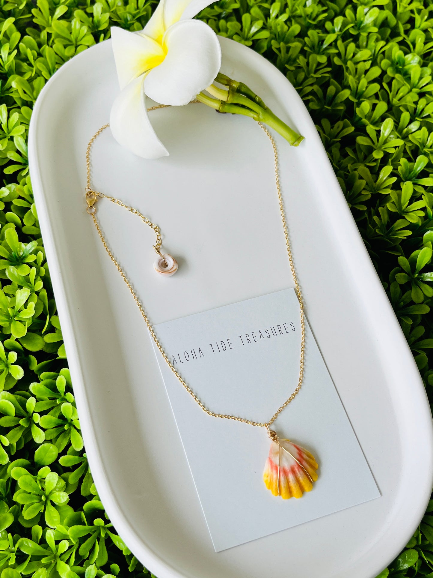 14K GF Sunrise Shell Necklace 16”