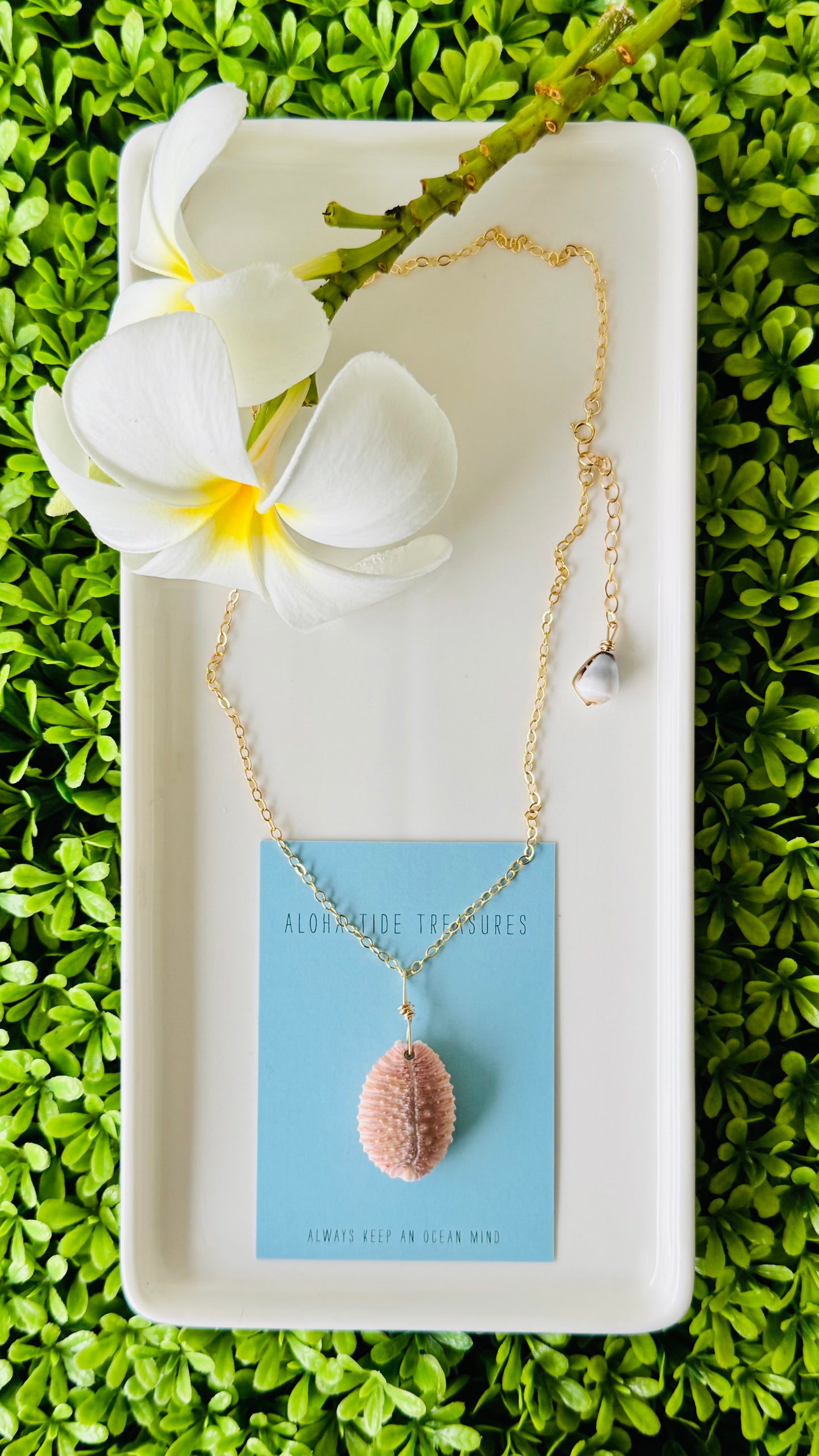 14K GF Cowrie Shell Necklace 16”
