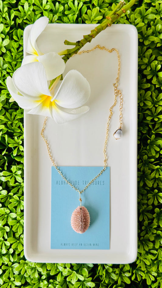 14K GF Cowrie Shell Necklace 16”