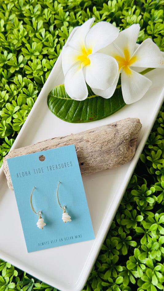 14K GF Stacked Puka Shell Earrings