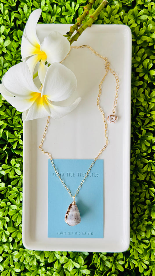 14K GF Abbreviated Cone Shell Necklace 16”