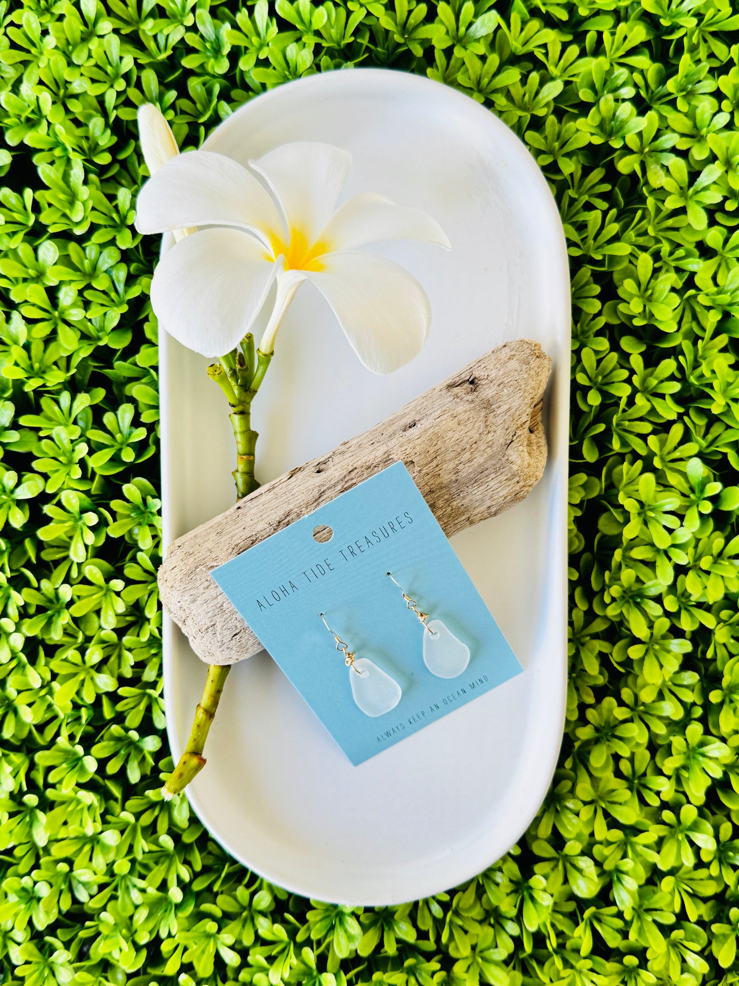 14K GF White Sea Glass Earrings - Meghan