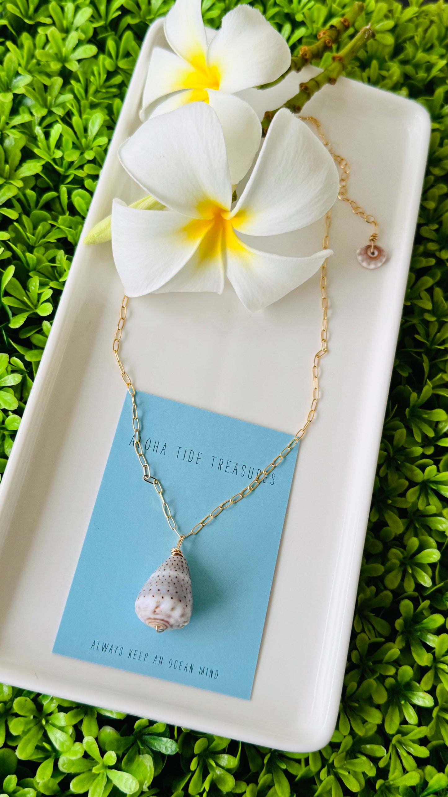 14K GF Abbreviated Cone Shell Necklace 16”