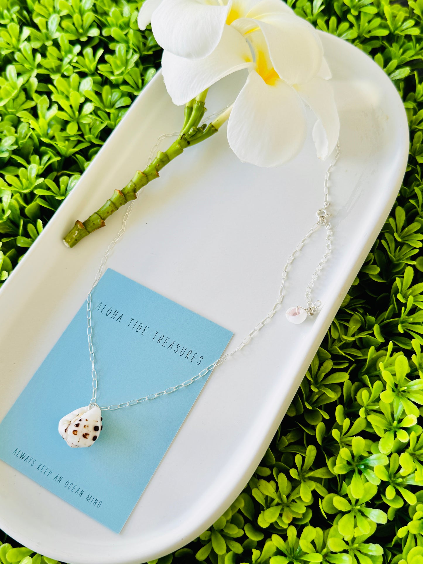 Sterling Silver Drupe Shell Necklace 16”
