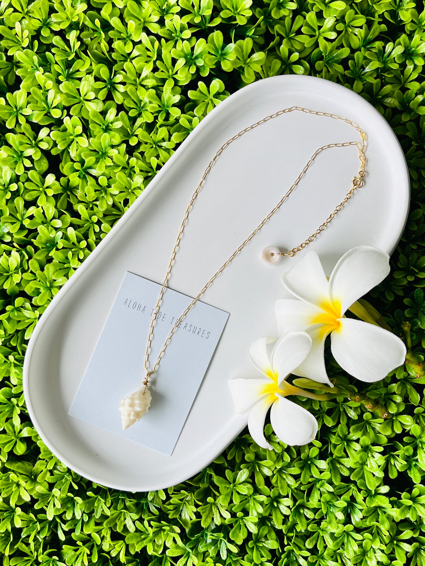 14K GF Shell Necklace 16”