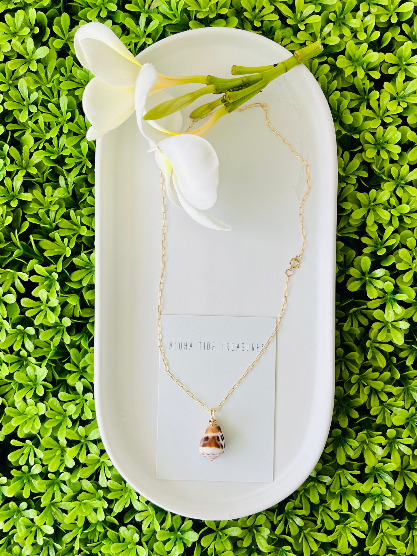 14K GF Hebrew Shell Necklace 16”