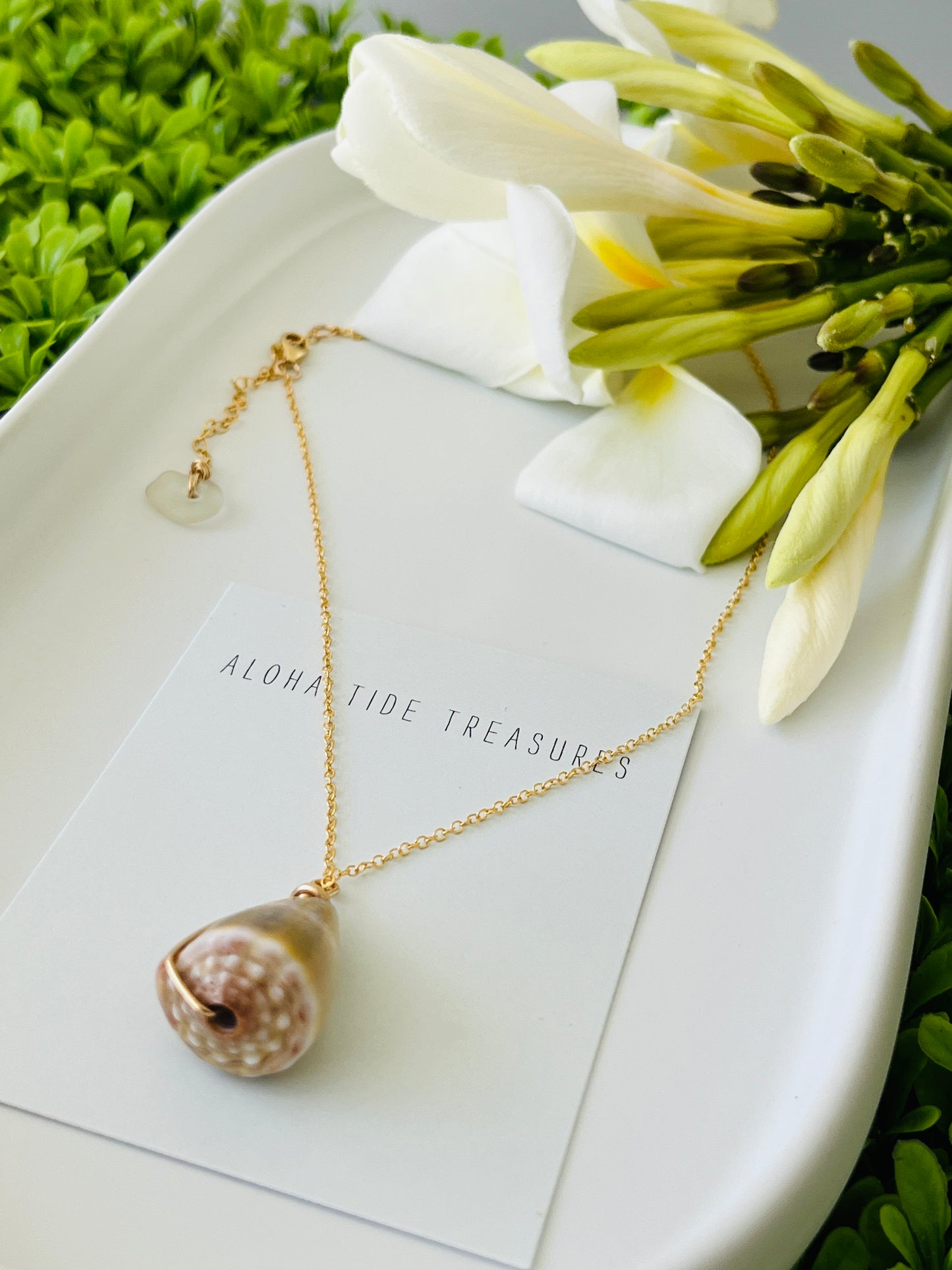 14K GF Cone Shell Necklace 16”