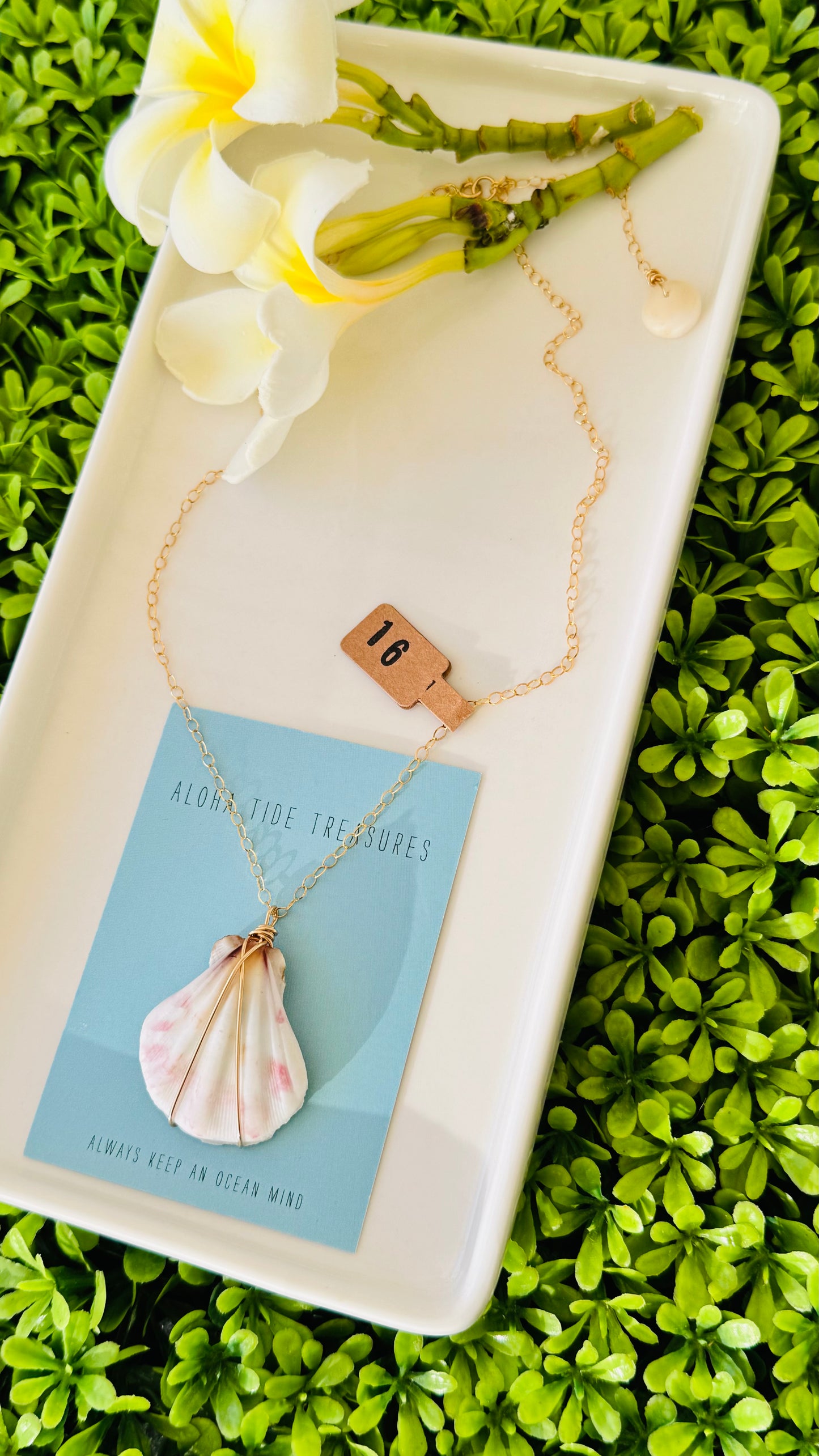 14K GF Scallop Shell Necklace 16”