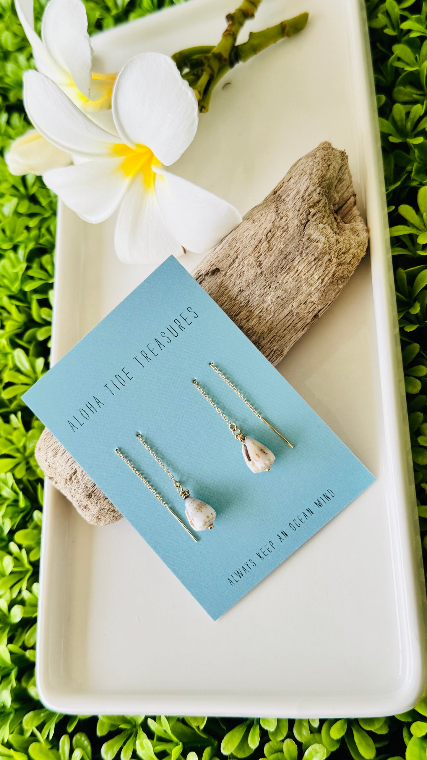 14K GF Shell Threader Earrings - Taylor