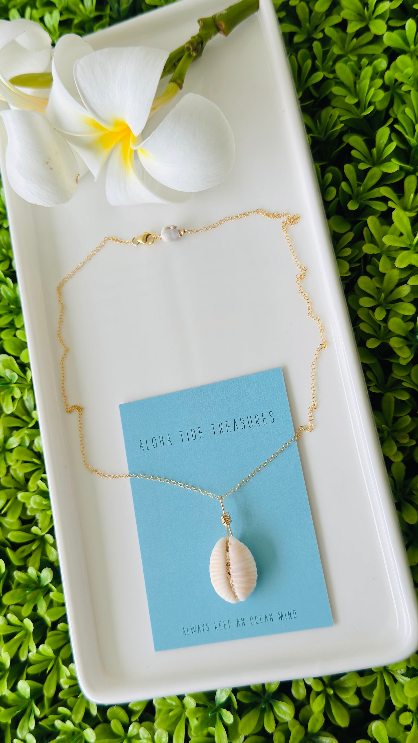 14K GF Granulated Cowrie Shell Necklace 16”