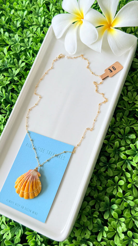 14K GF Sunrise Shell Necklace 18”