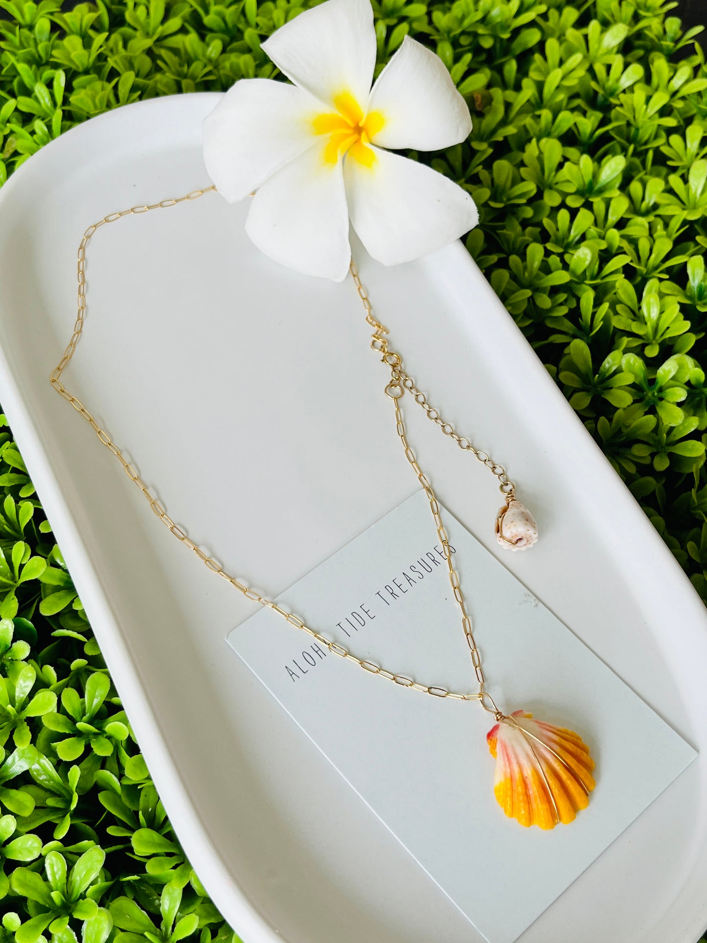14K GF Sunrise Shell Necklace 16”