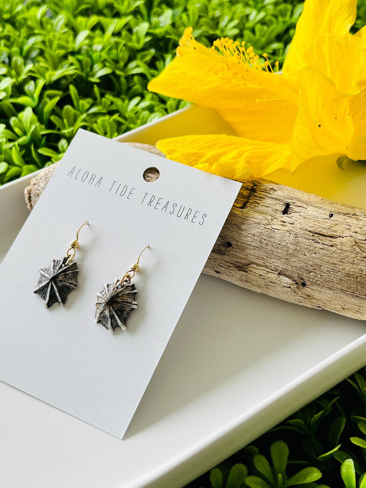 14K GF ‘Opihi Earrings