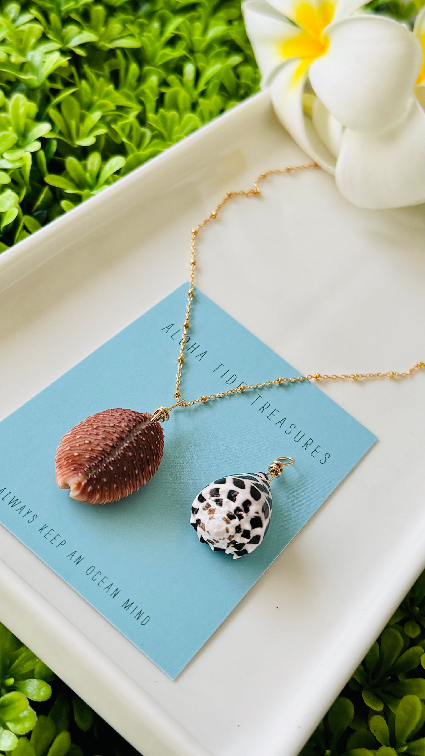 14K GF Cowrie Shell Necklace 16” - Julianne