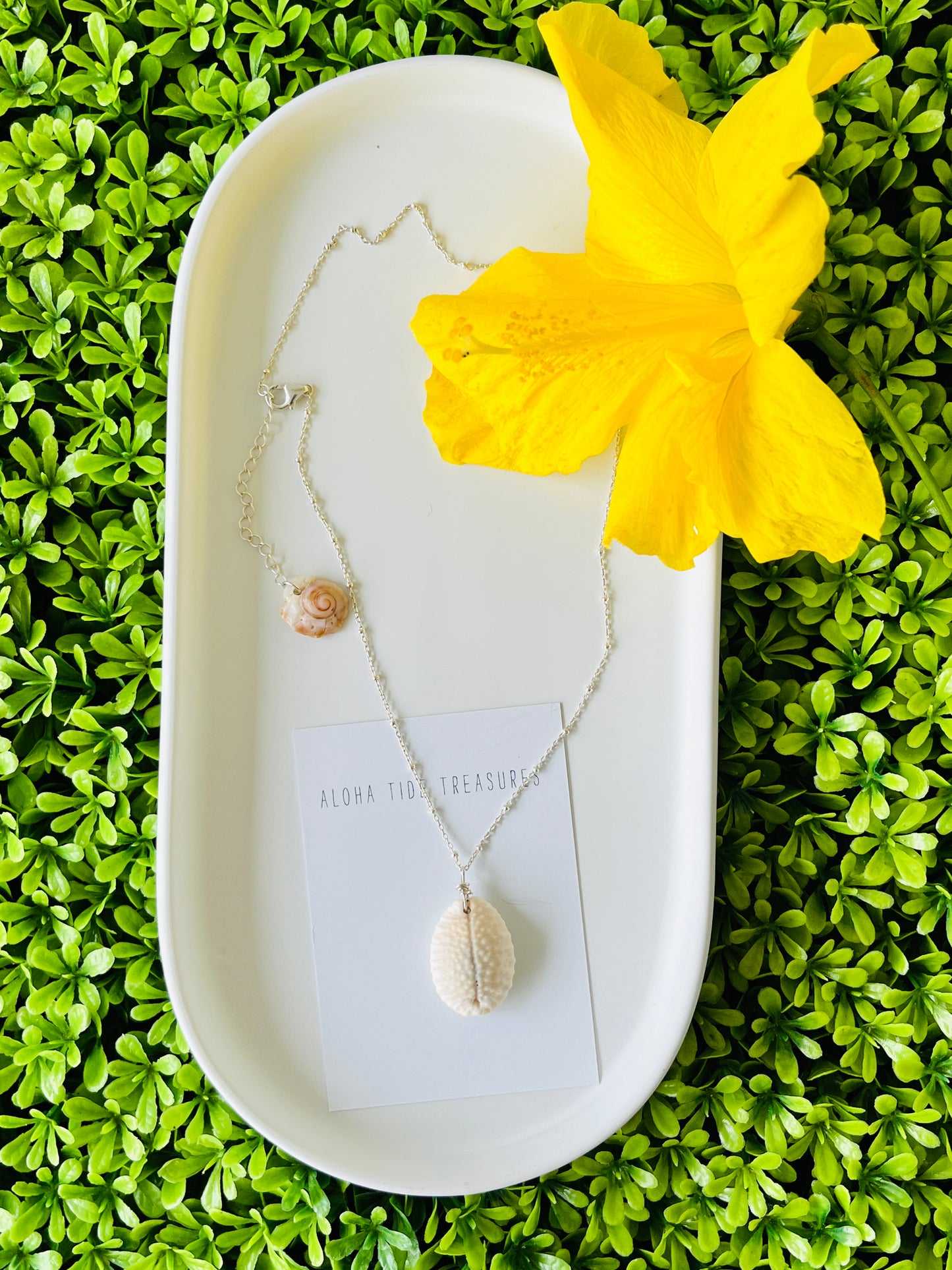 Sterling Silver Cowrie Shell Necklace 16”
