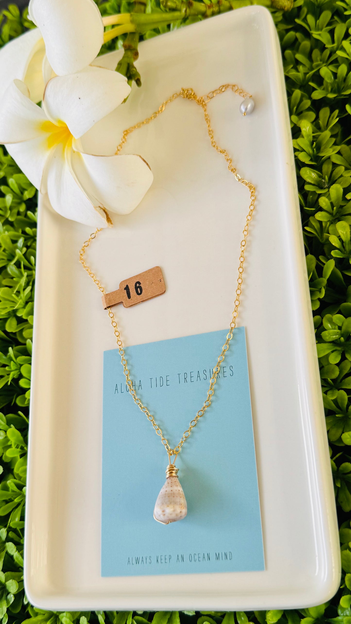 14K GF Abbreviated Cone Shell Necklace 16”