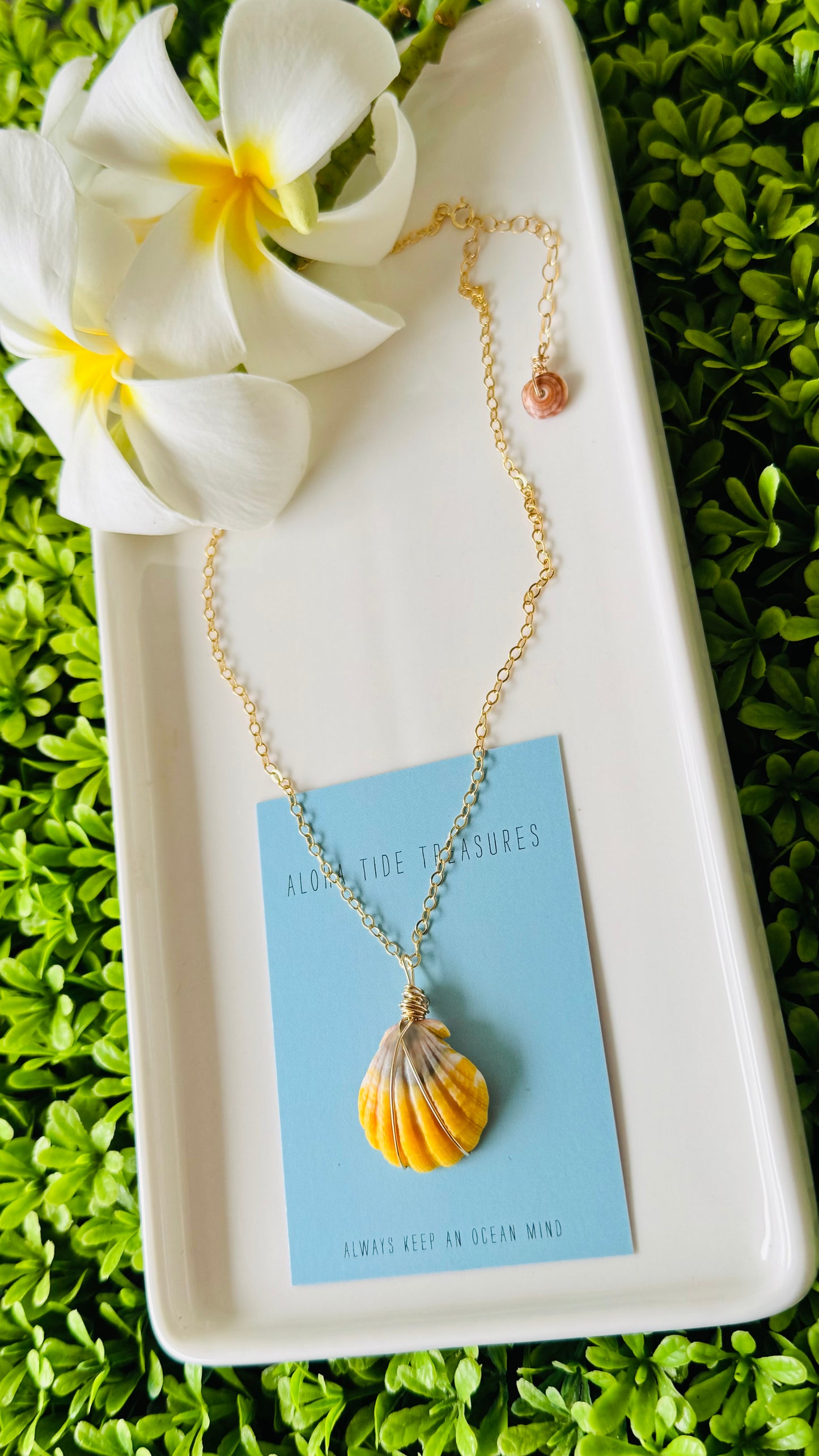 14K GF Sunrise Shell Necklace 16”
