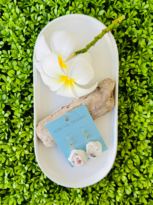 14K GF Dottie Shell Earrings