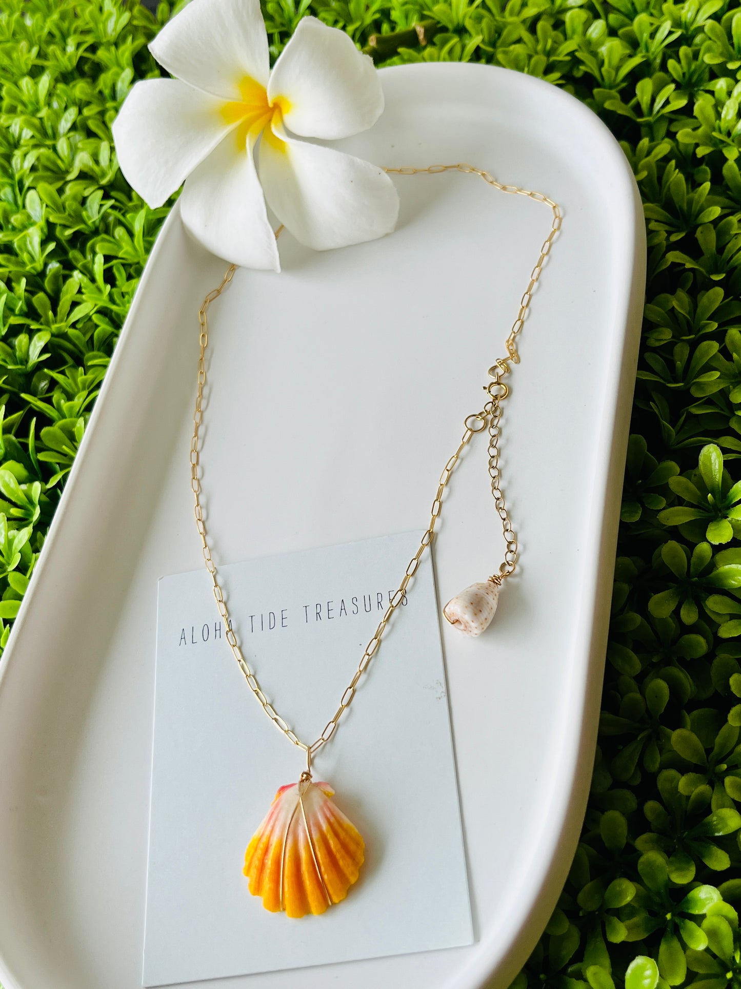 14K GF Sunrise Shell Necklace 16”