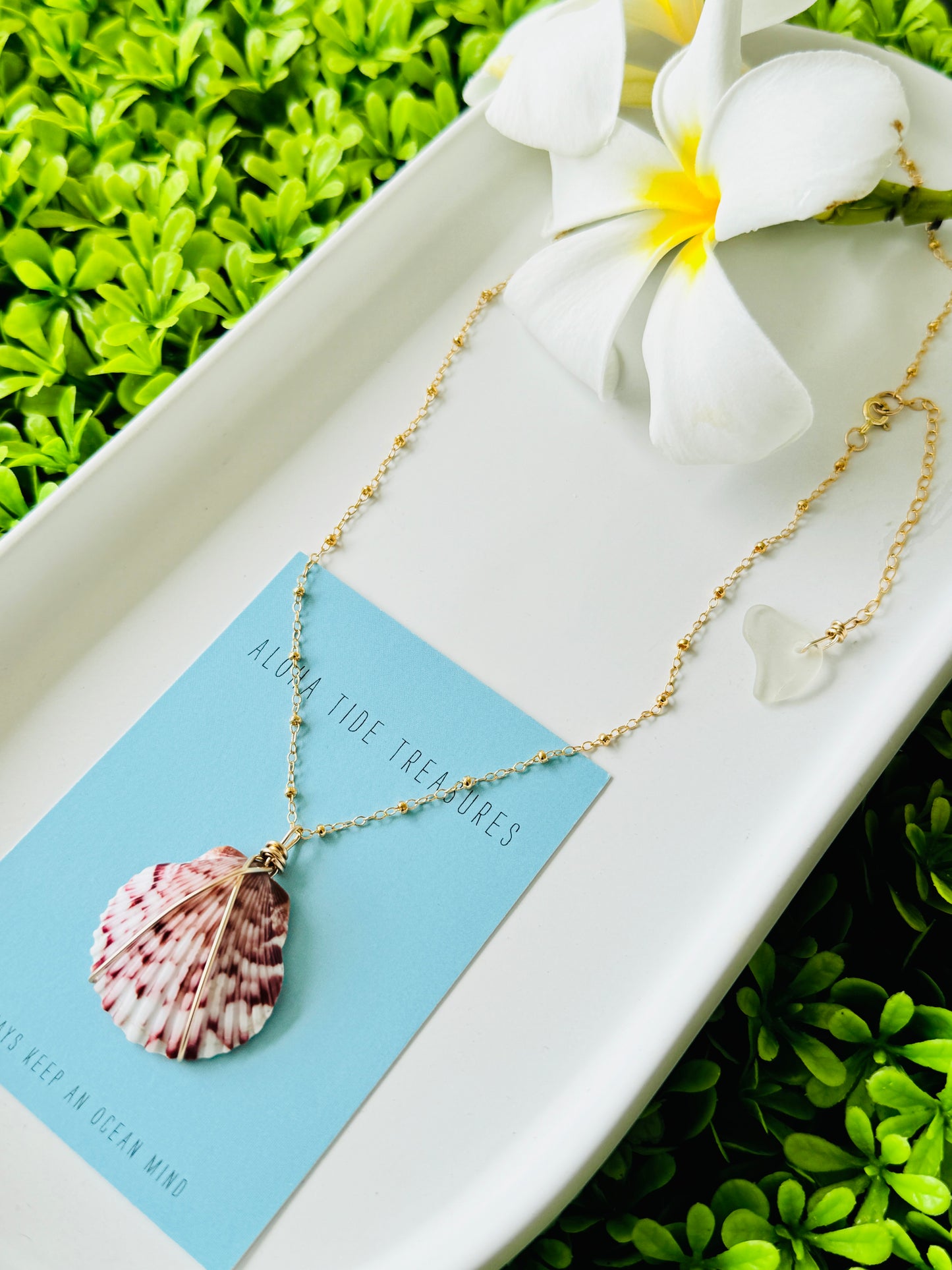14K GF Carolina Calico Shell Necklace - 16”