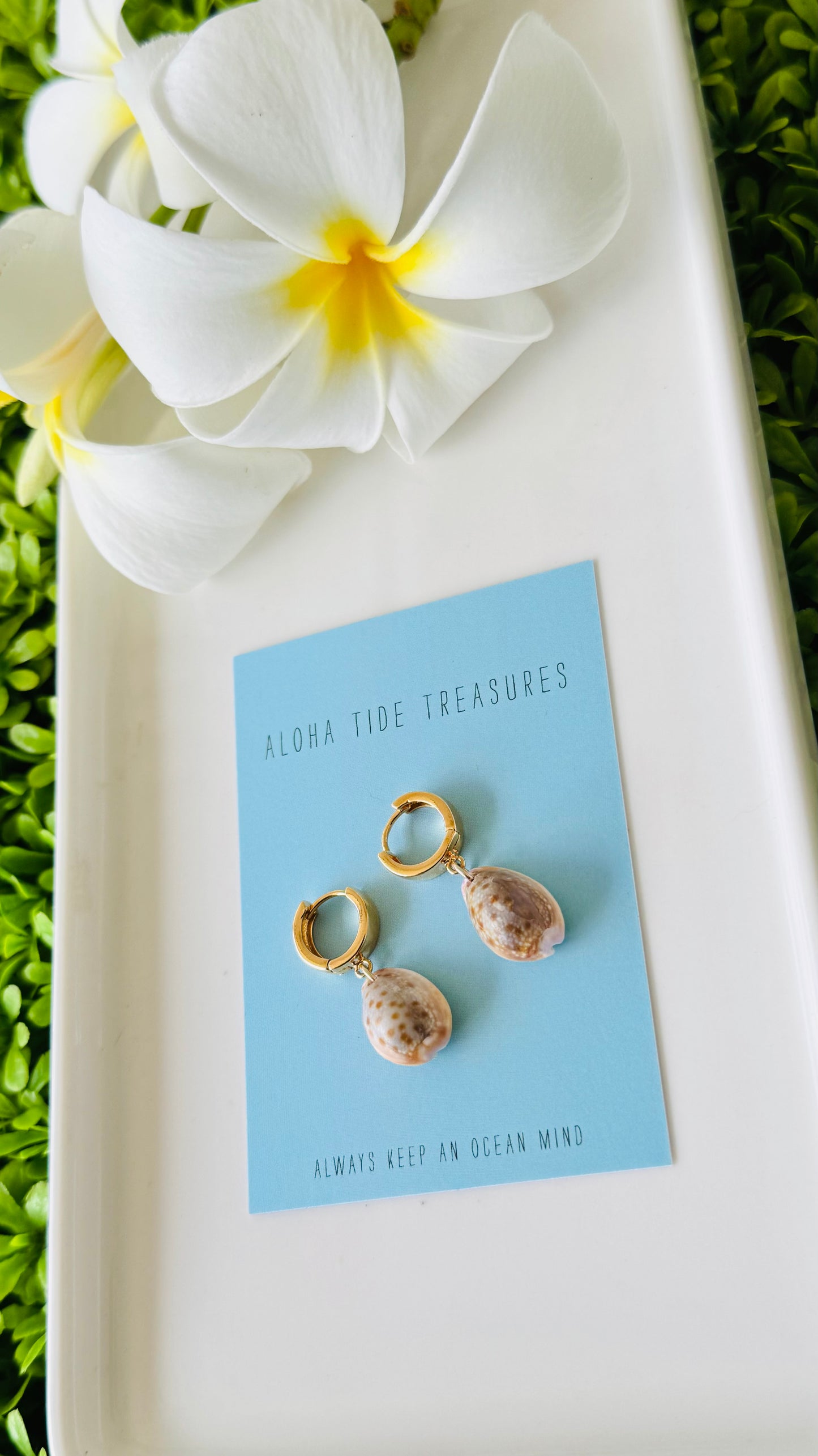 14K GP Cowrie Huggie Earrings