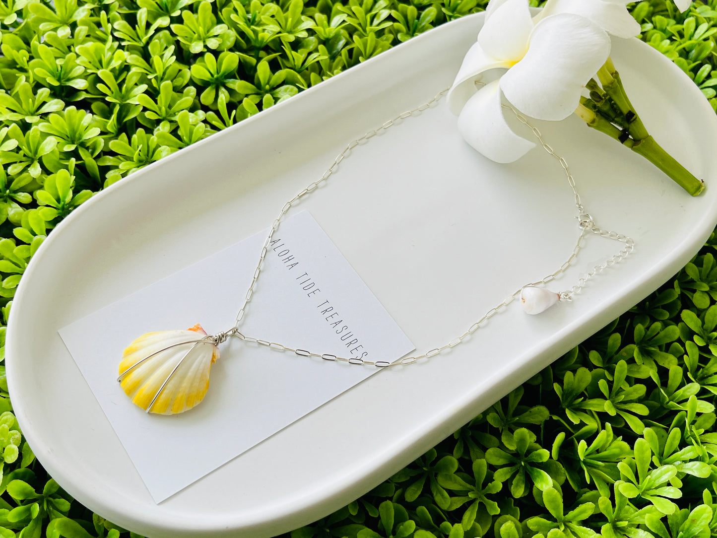 Sterling Silver Albino Sunrise Shell Necklace 14” - Francis