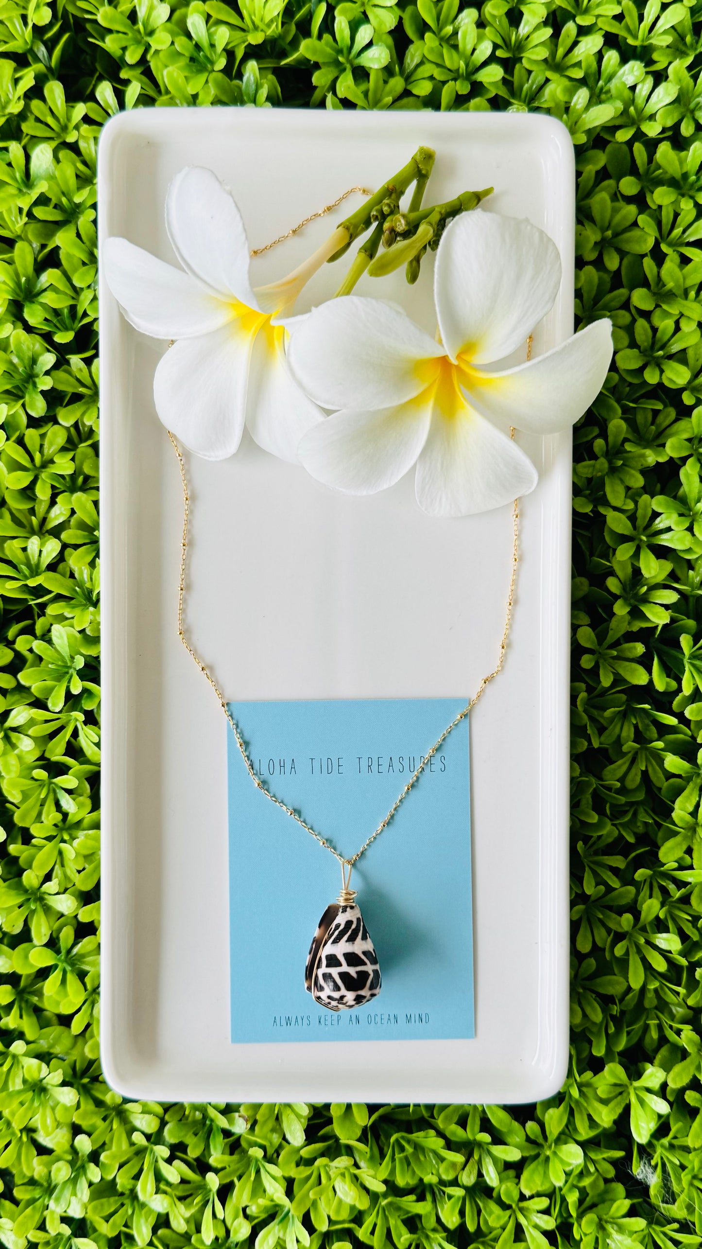 14K GF Hebrew Shell Necklace 18” - Stephanie