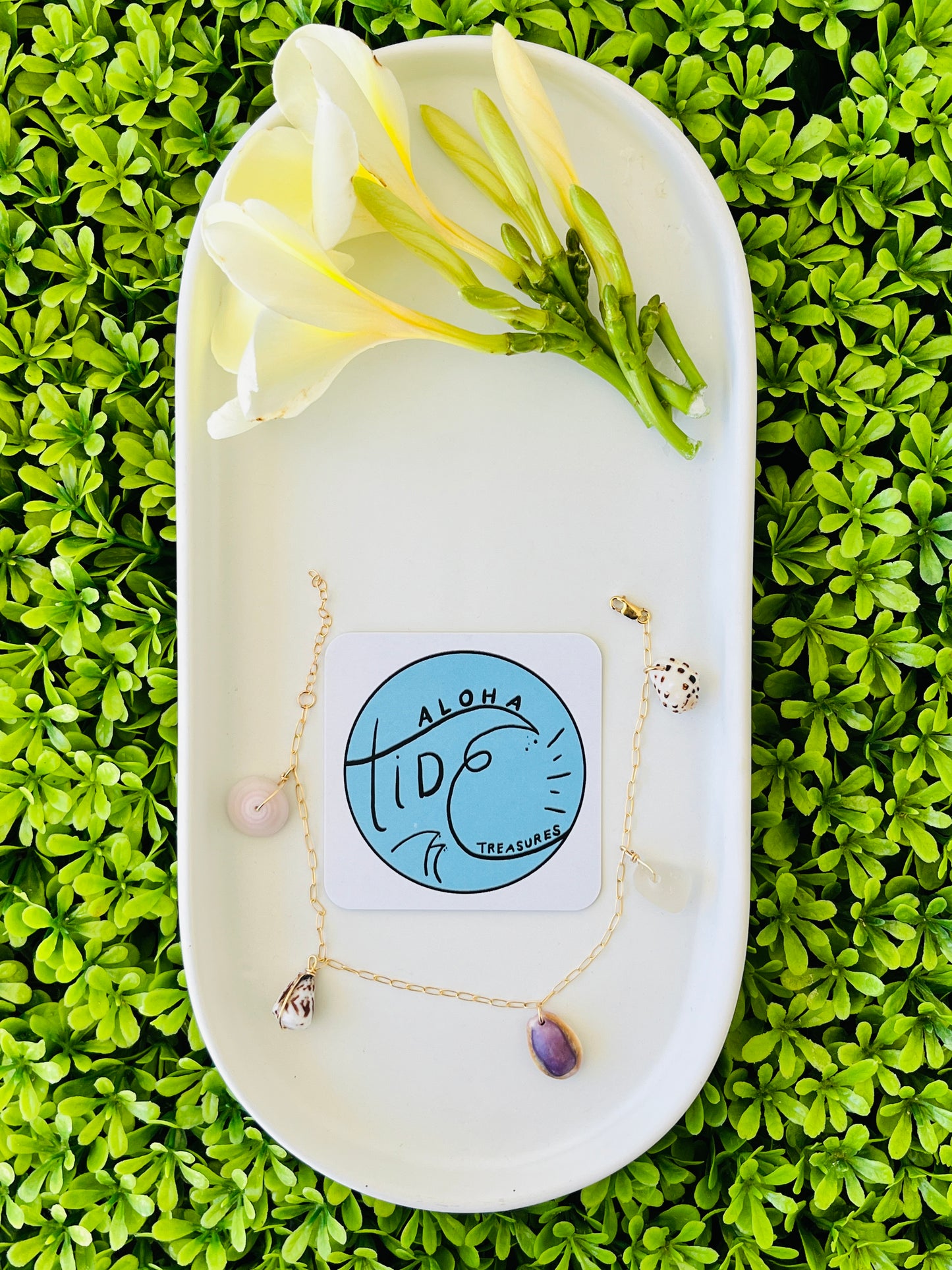 14K GF Hawaiian Shell Anklet 8.5” - Cully
