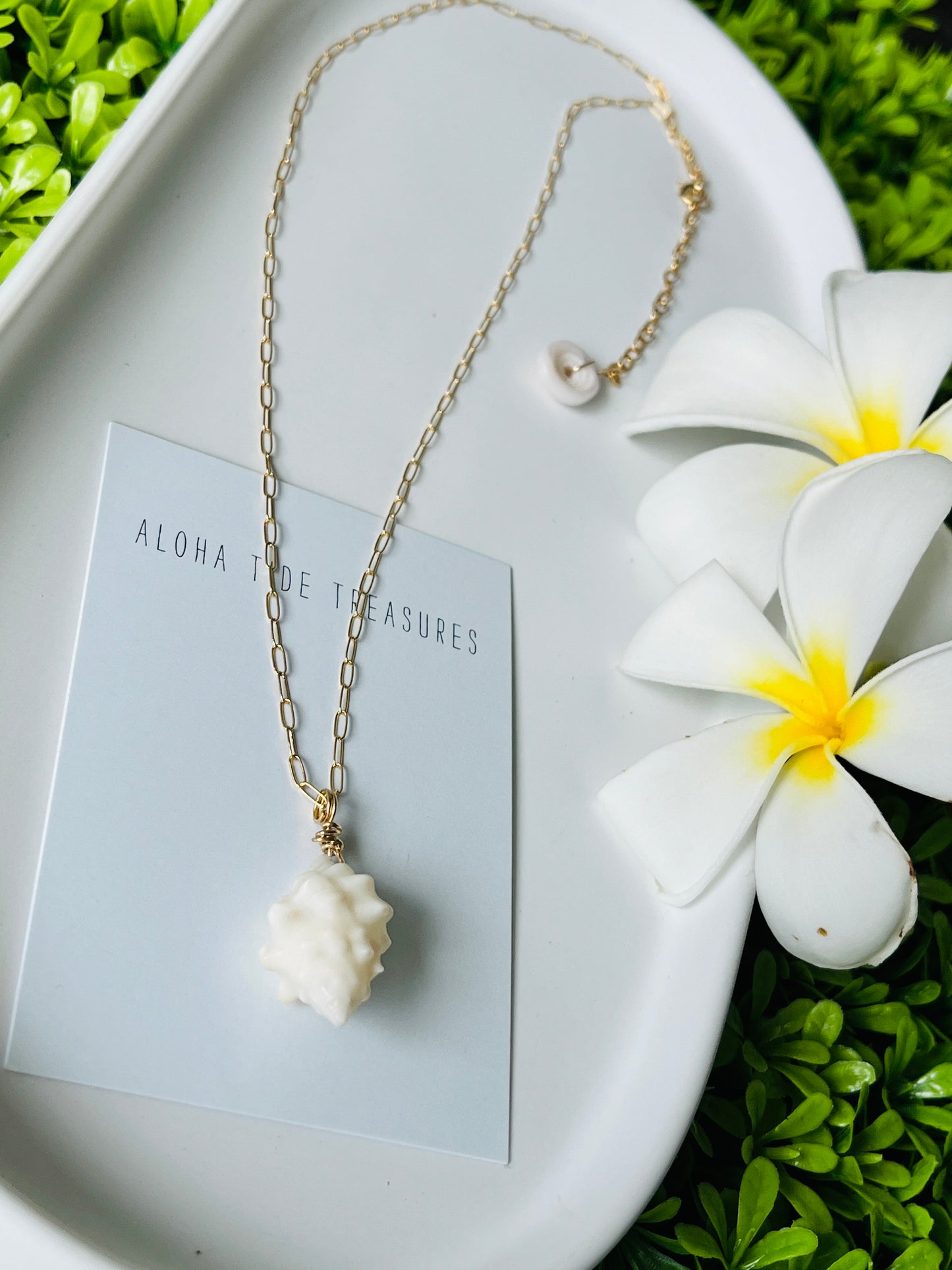 14K GF Shell Necklace 16”