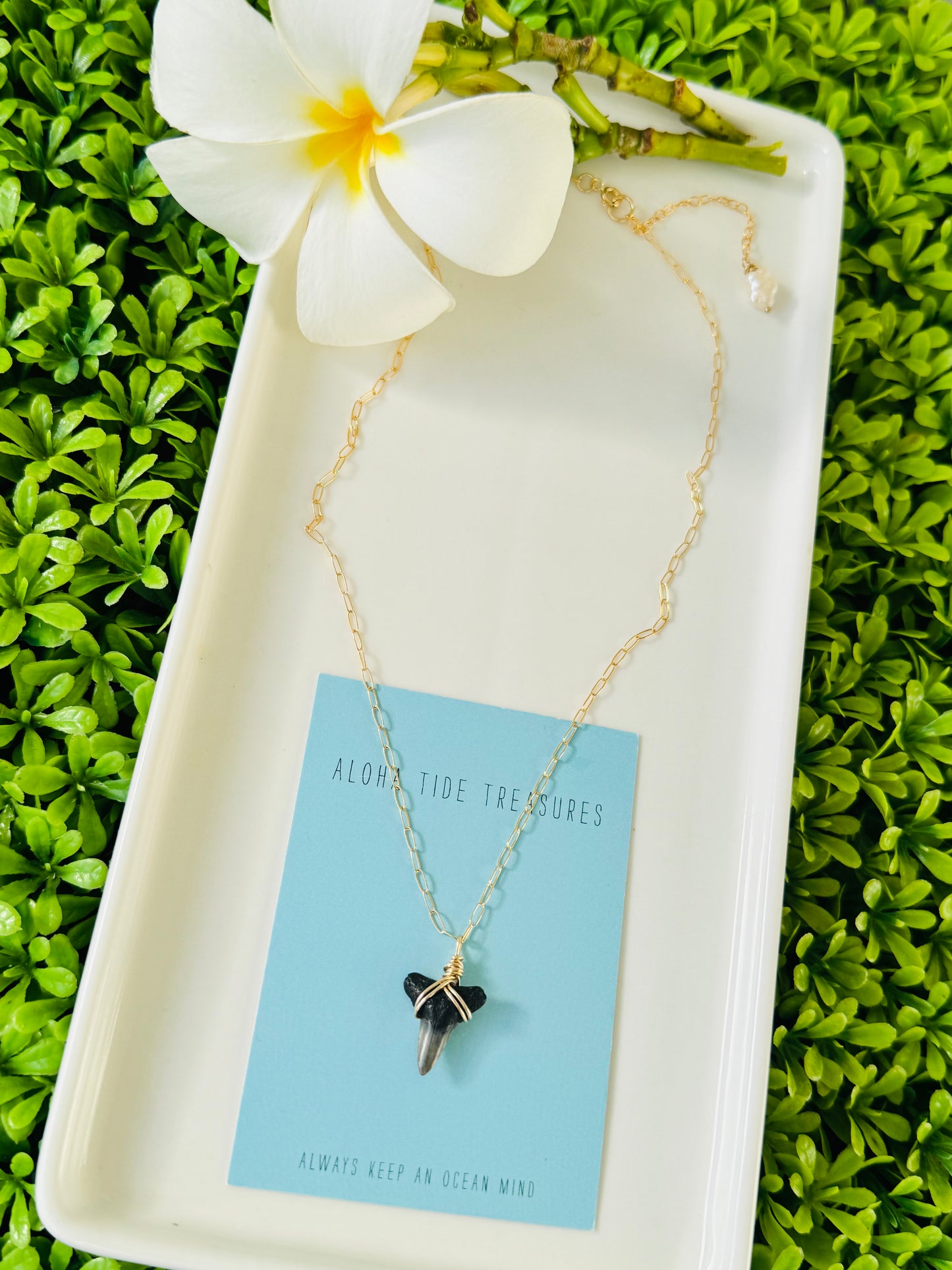 14K GF Shark Tooth Necklace 16” - Karla