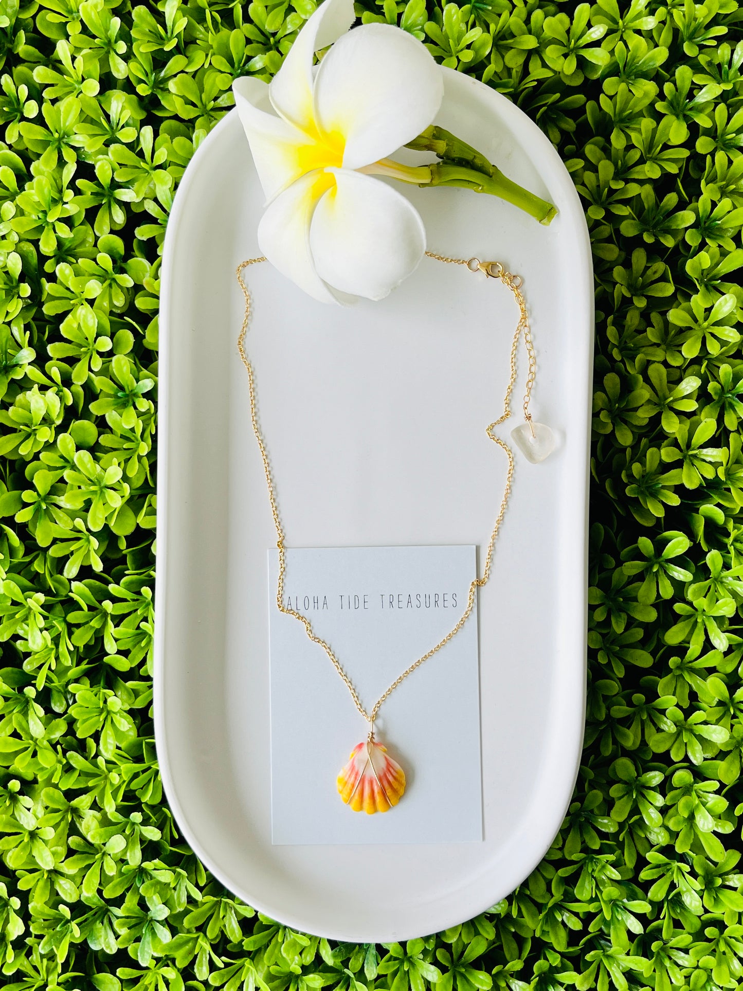 14K GF Sunrise Shell Necklace 16”