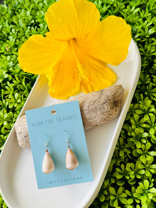 Sterling Silver Cone Shell Earrings