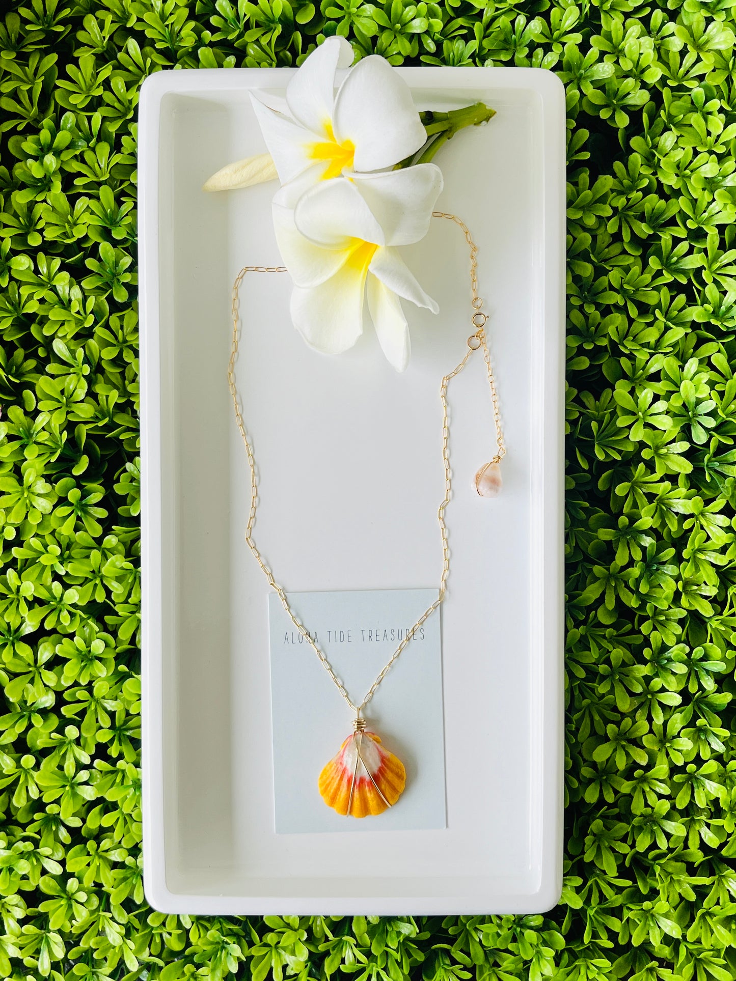 14K GF Sunrise Shell Necklace 18” - Tiffany
