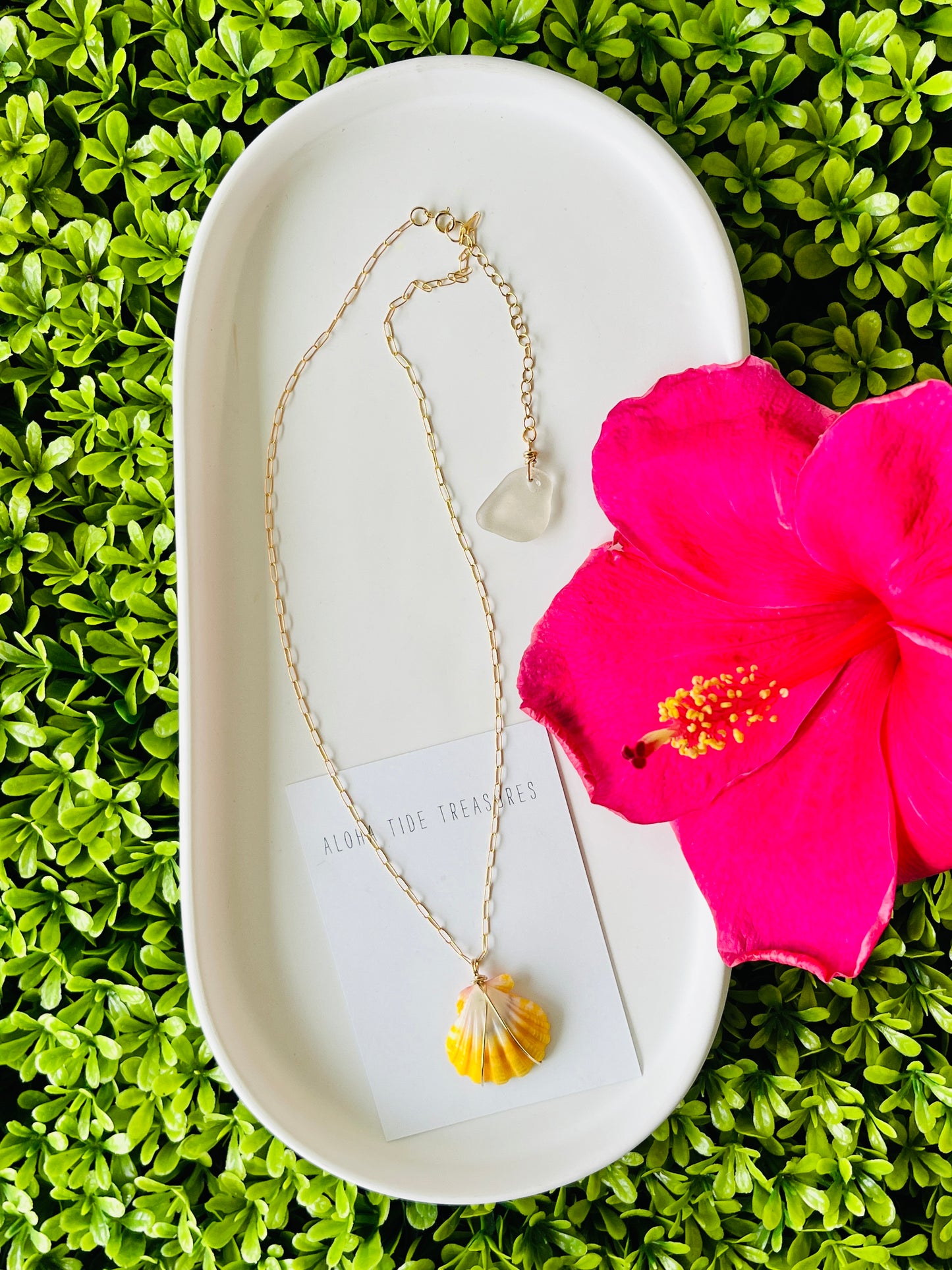 14K GF Sunrise Shell 16” Chain w Extender