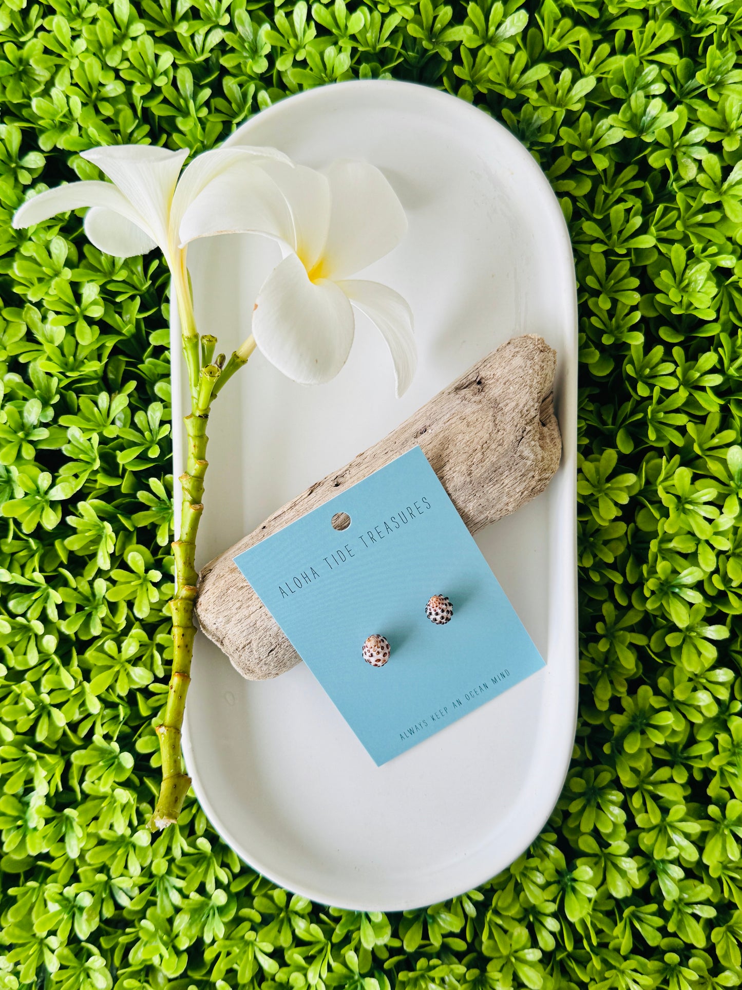 Sterling Silver Drupe Shell Earring Studs