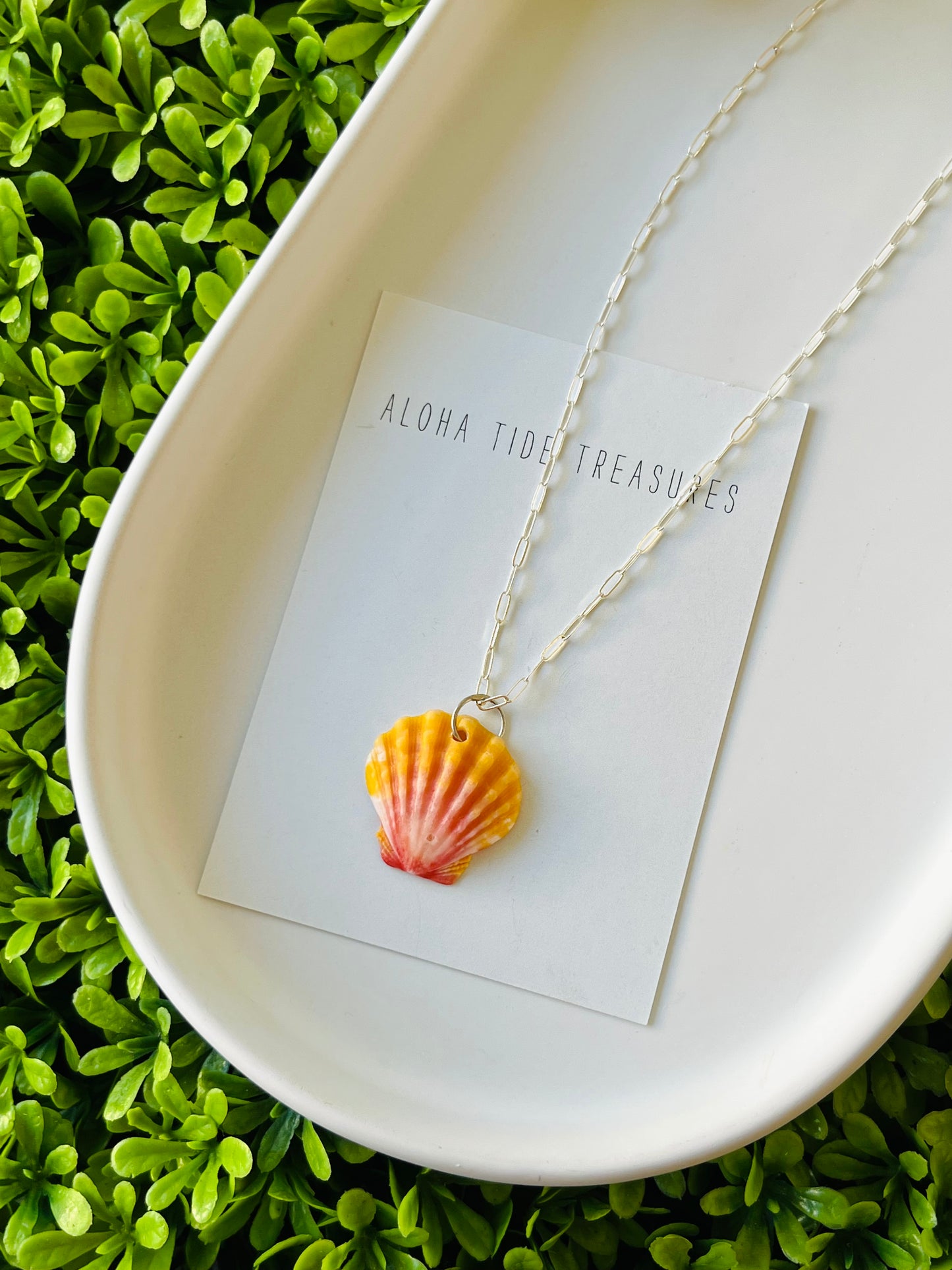 Sterling SIlver Sunrise Shell Necklace 18”
