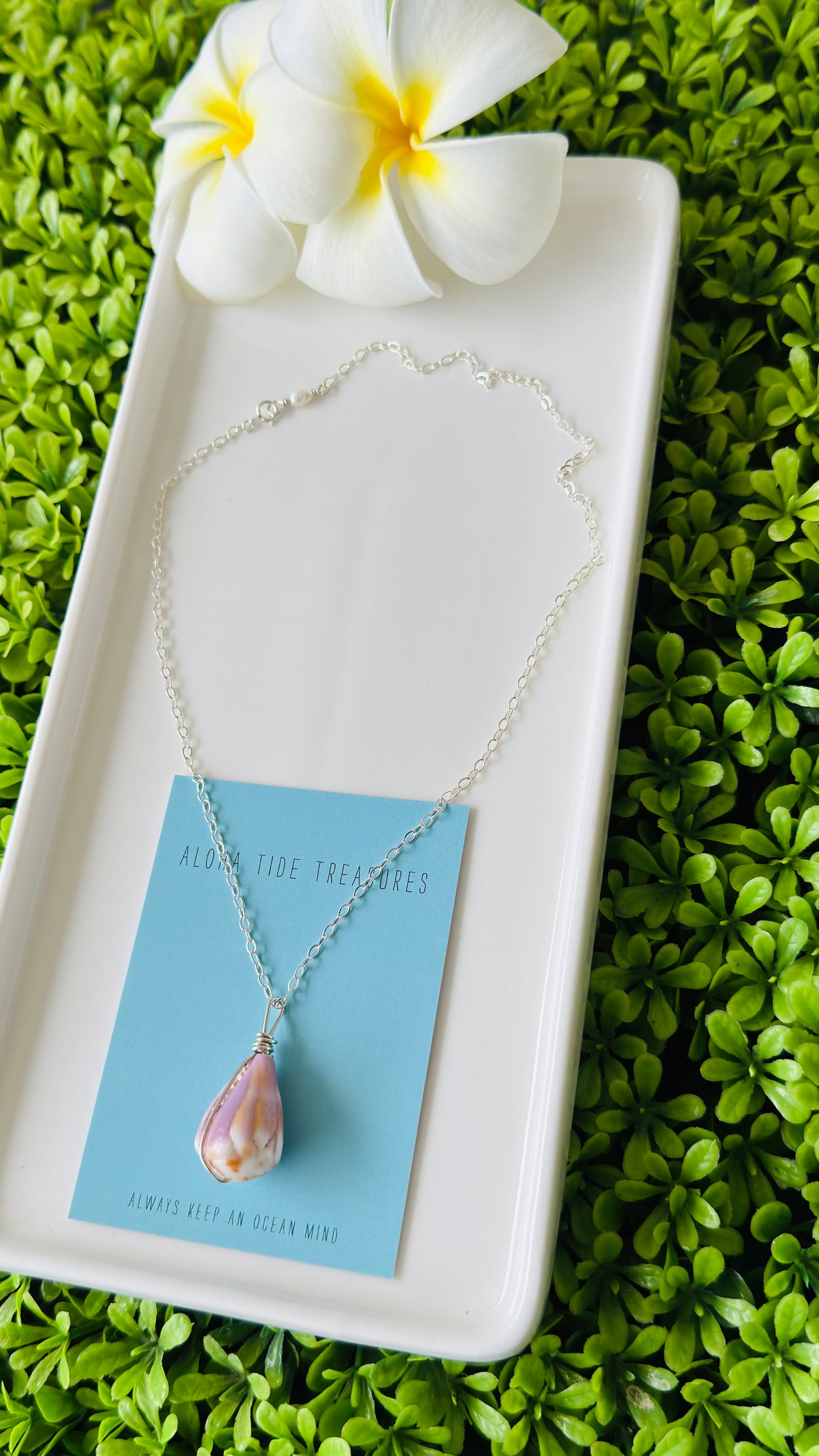 SS Cone Shell Necklace 16” - Mallory