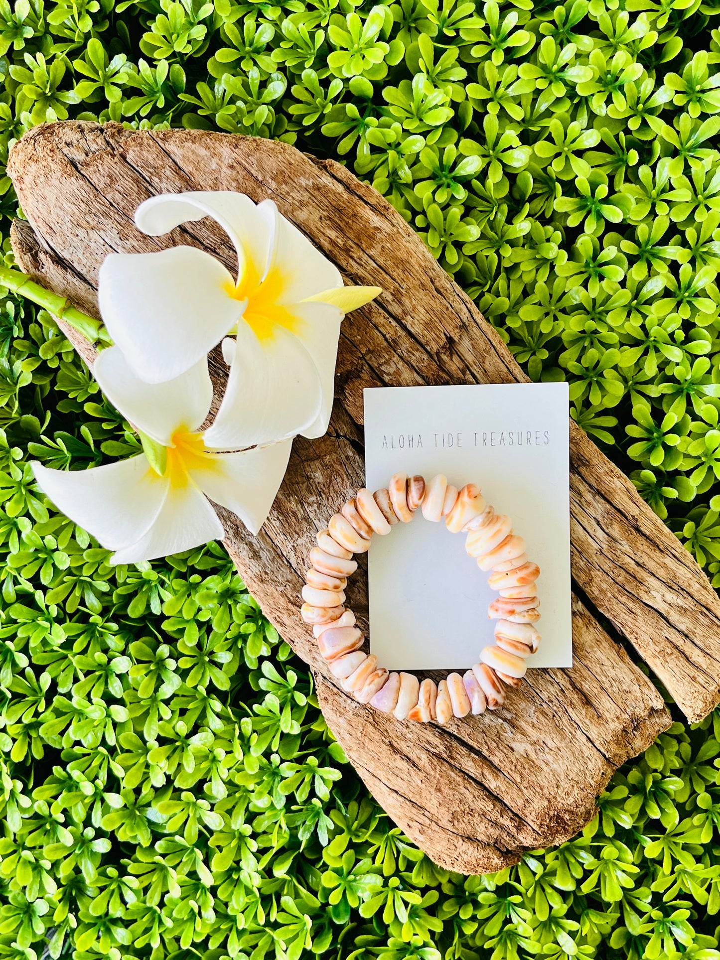 Puka Shell Bracelet Small