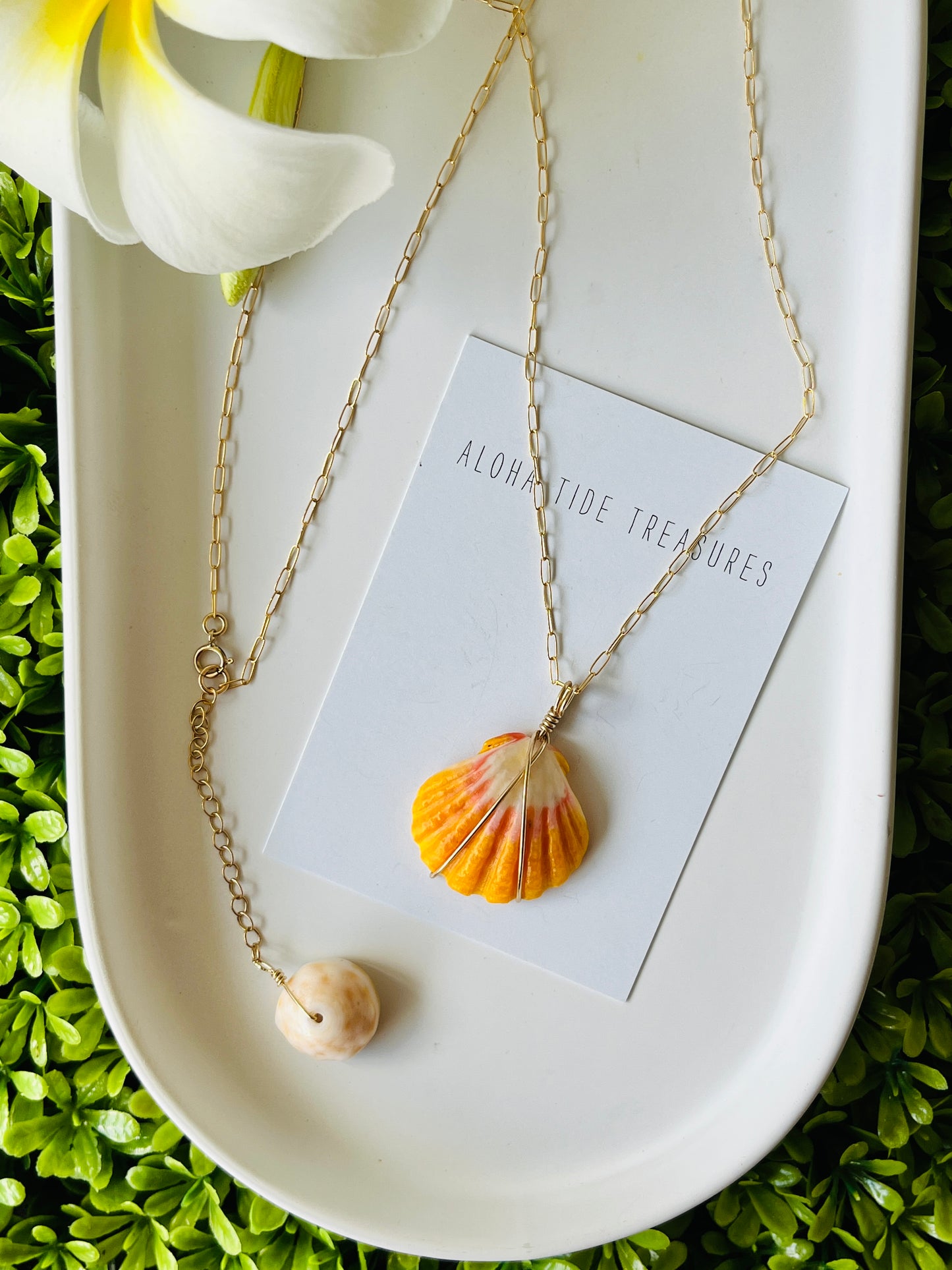 14K GF Sunrise Shell  Necklace 22”