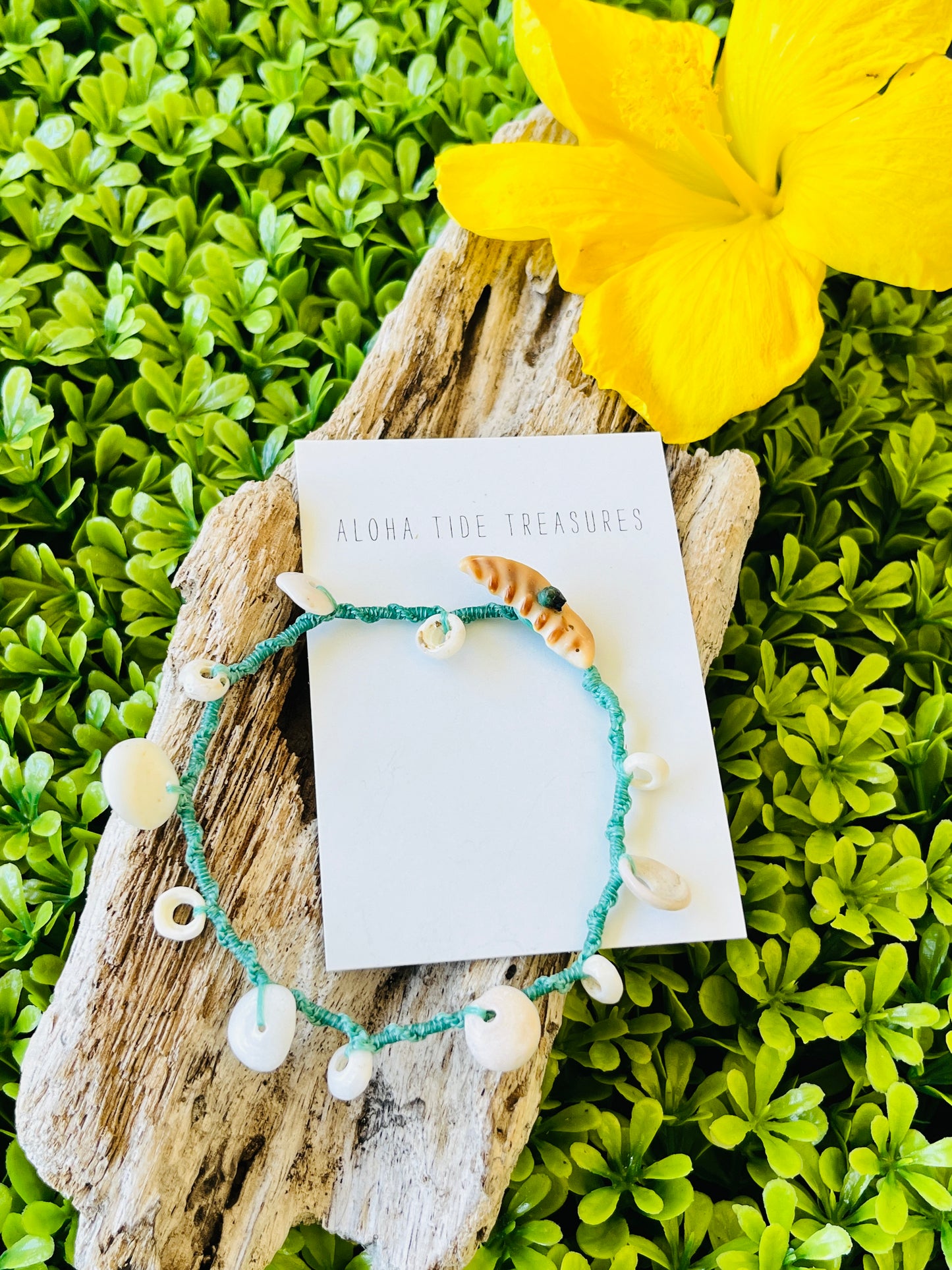Hawaiian Shell Anklet 8”