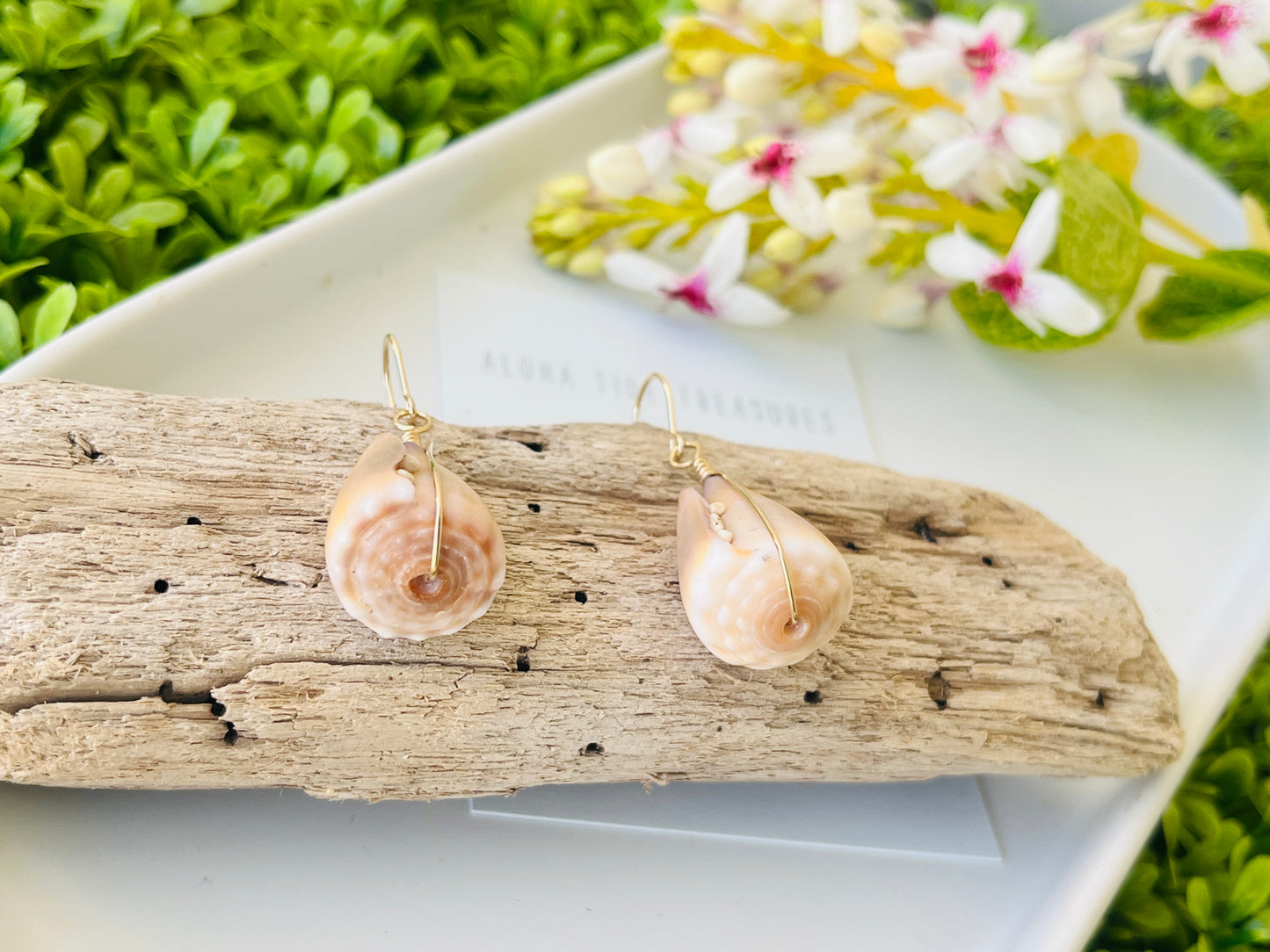 14K GF Cone Shell Earrings
